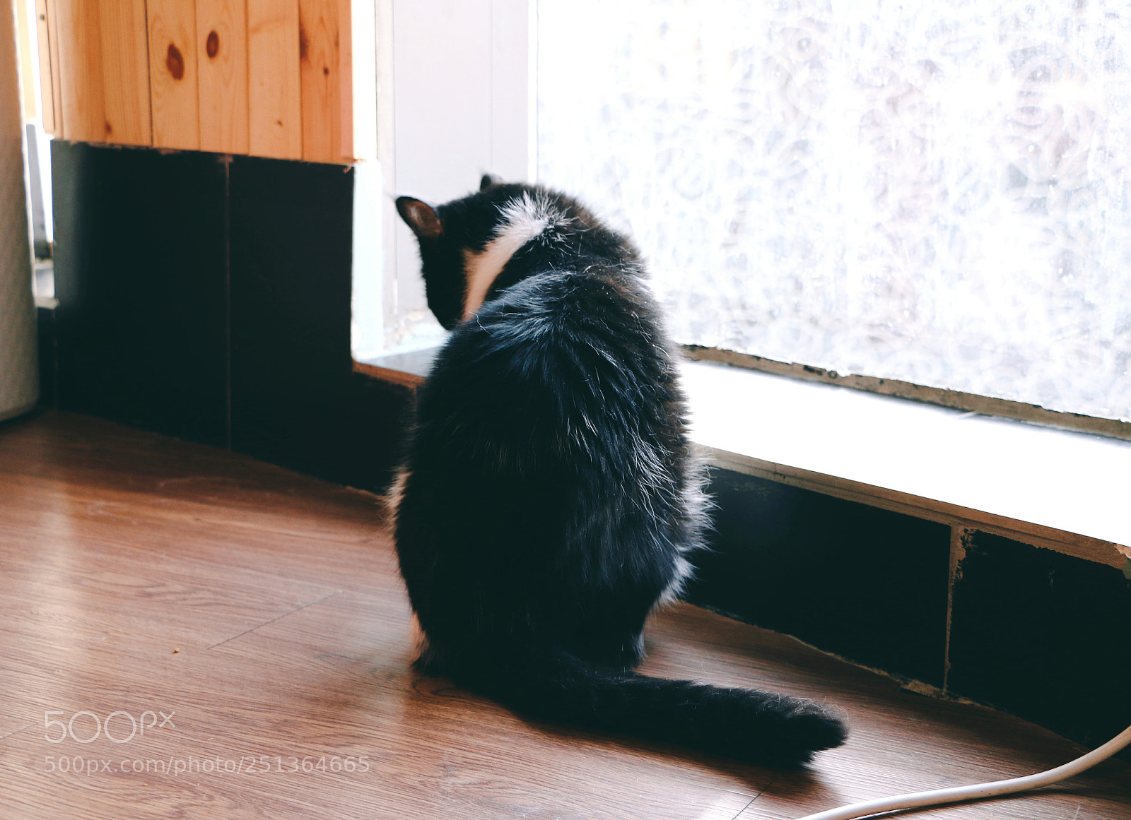 Canon EOS 70D sample photo. "永远年轻，永远热泪盈眶。" photography