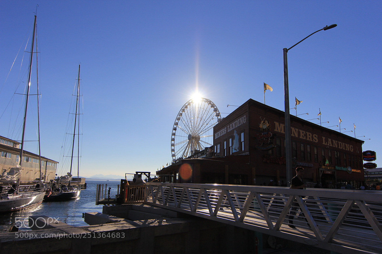 Canon EOS 60D sample photo. Over my head  photography
