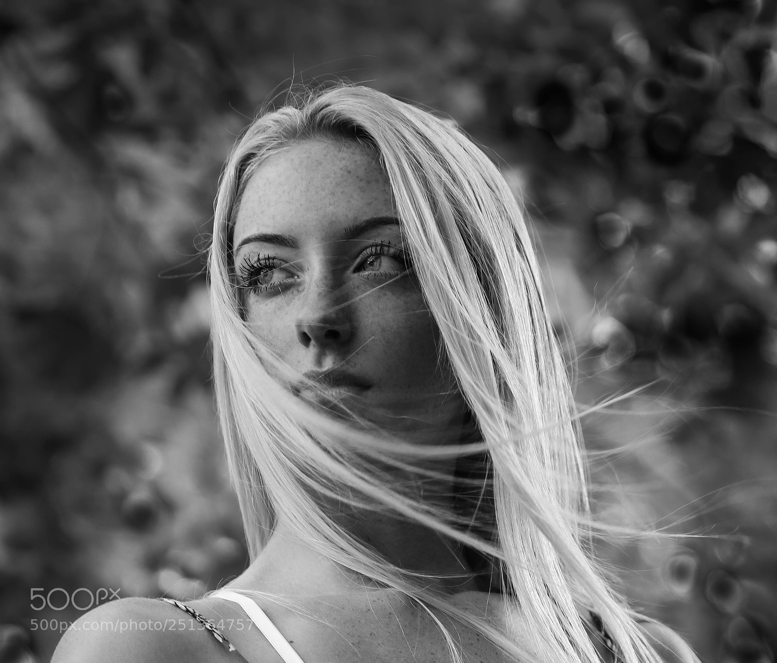 Canon EOS 5DS R sample photo. Sierra photography
