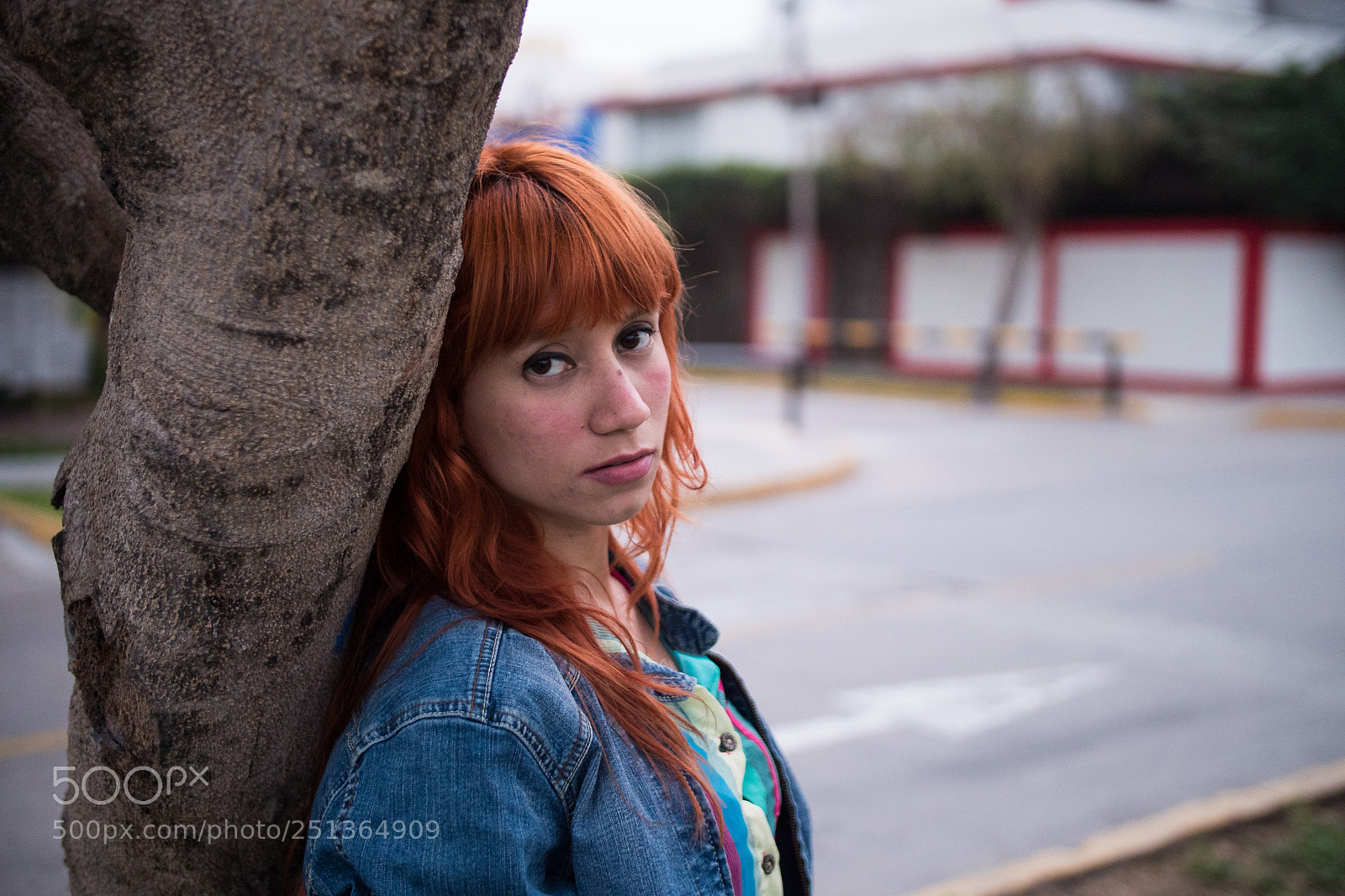 Panasonic Lumix DMC-GH4 sample photo. P photography