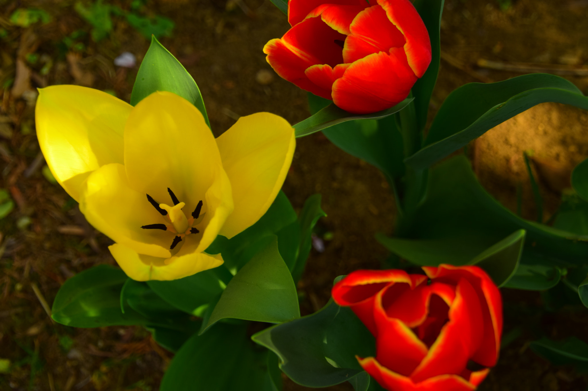 Nikon D3300 sample photo