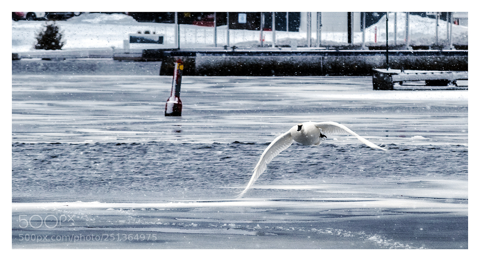 Nikon D3300 sample photo. Incoming! photography