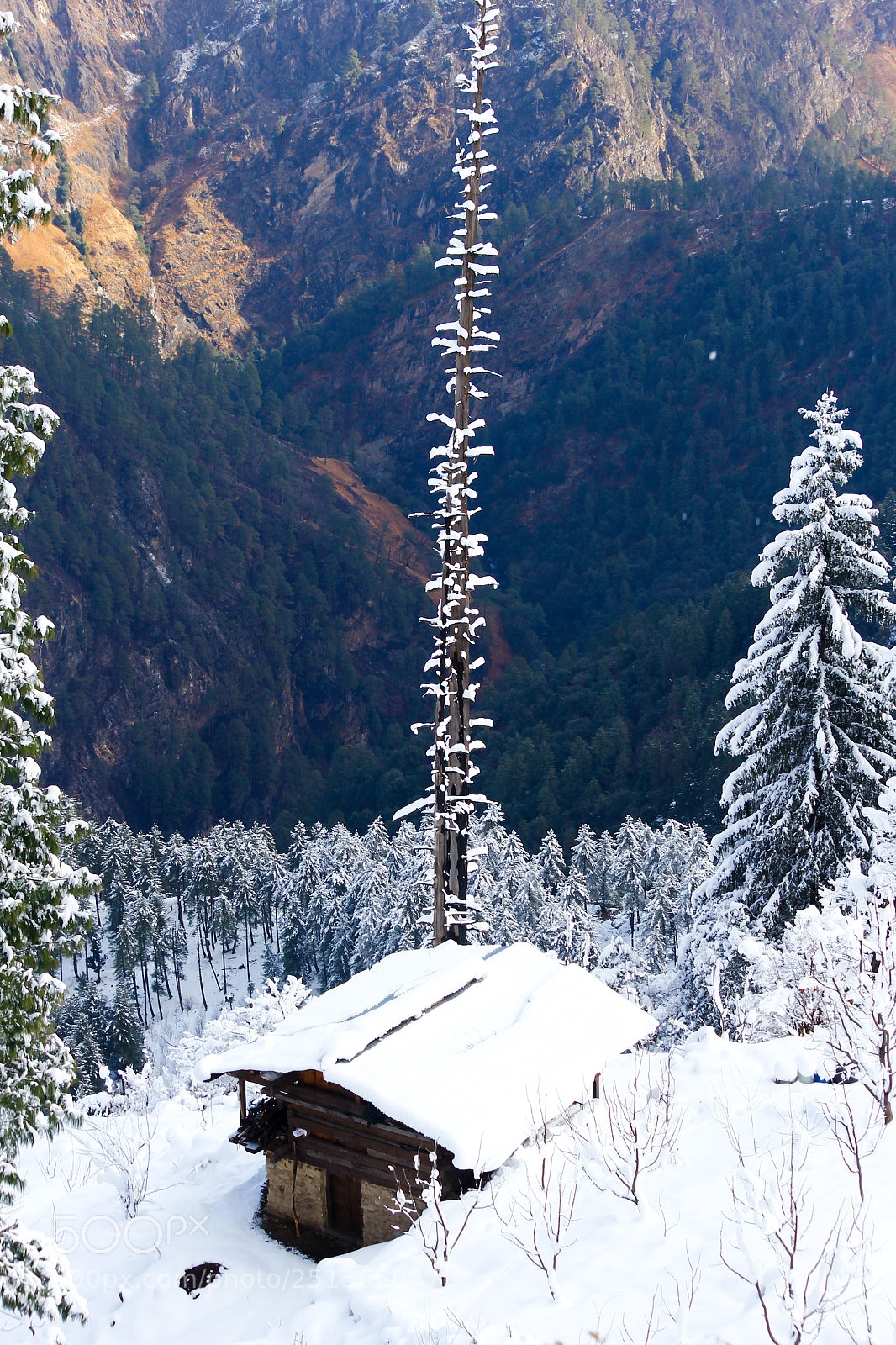 Canon EOS 60D sample photo. Fresh snow. photography