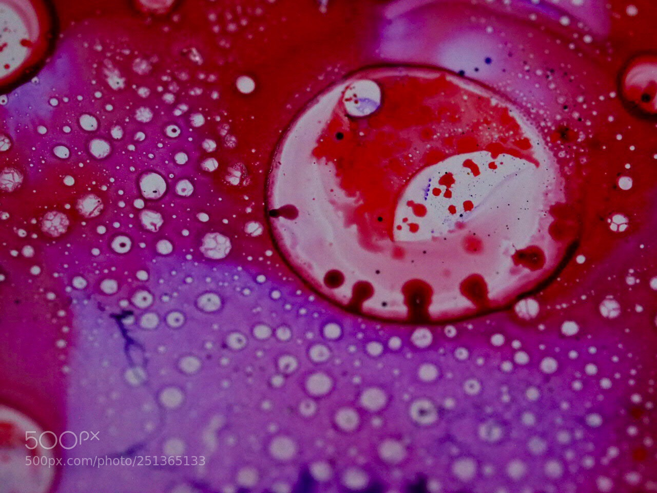 Olympus OM-D E-M1 sample photo. Sciart photography