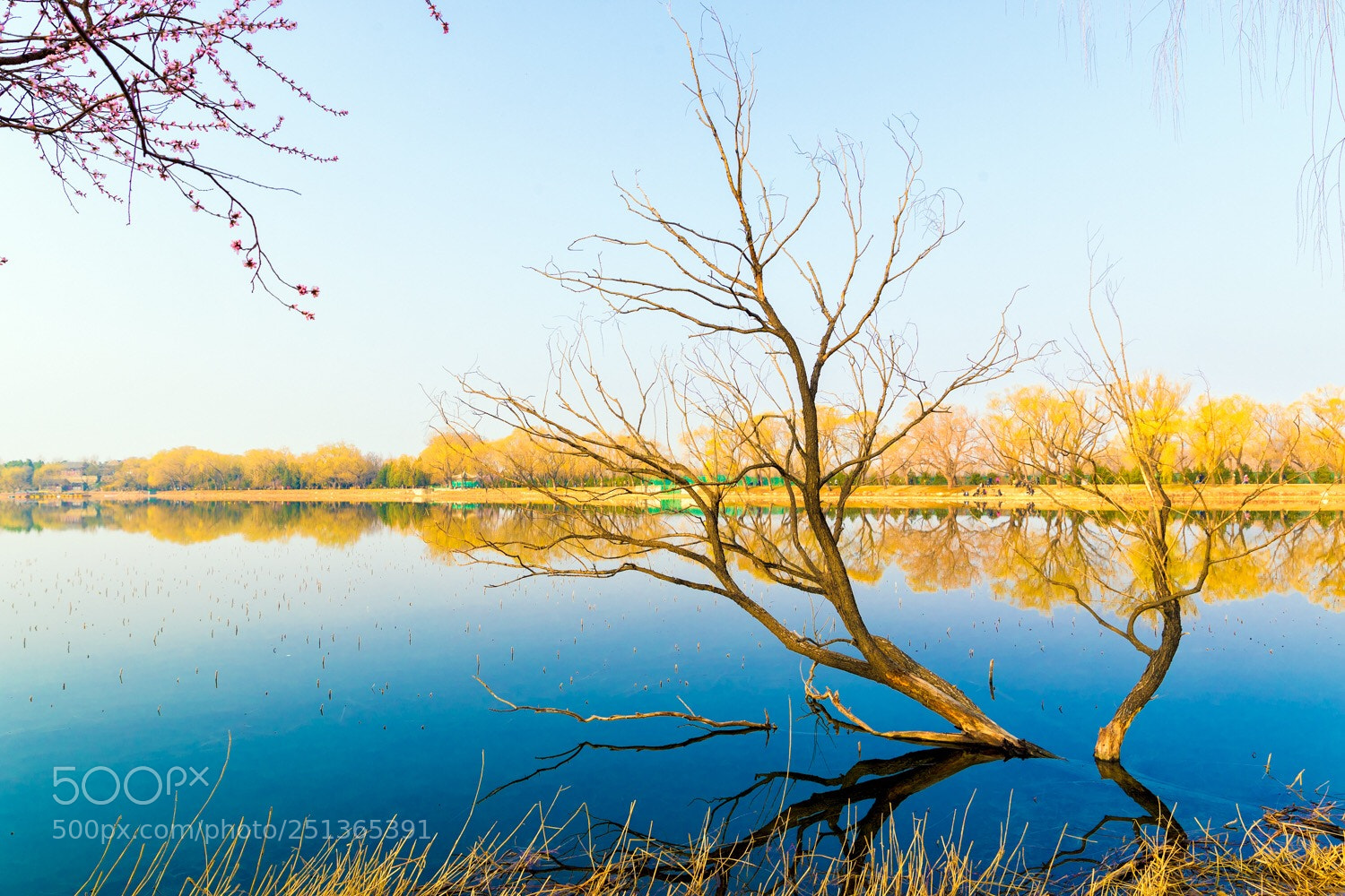 Canon EOS-1D X Mark II sample photo. Untitled photography