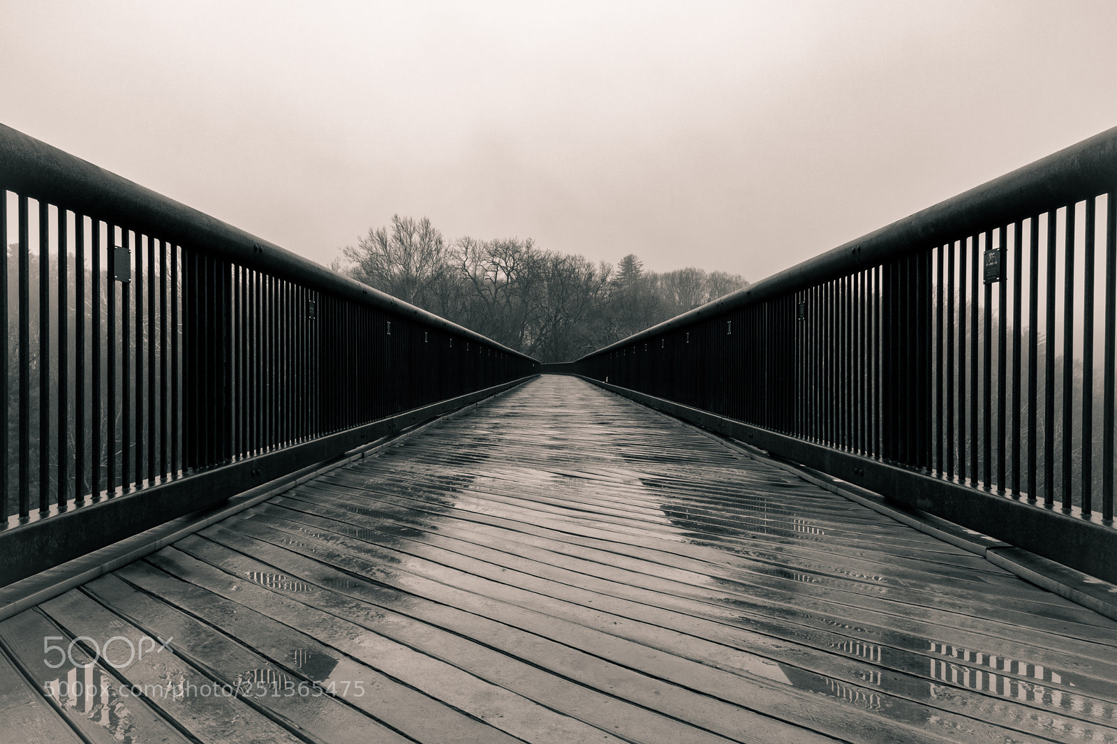 Canon EOS 750D (EOS Rebel T6i / EOS Kiss X8i) sample photo. Trestle walkway photography