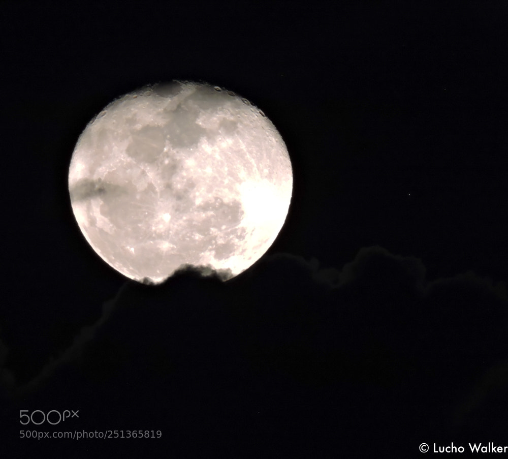 Nikon Coolpix P600 sample photo. Moon photography