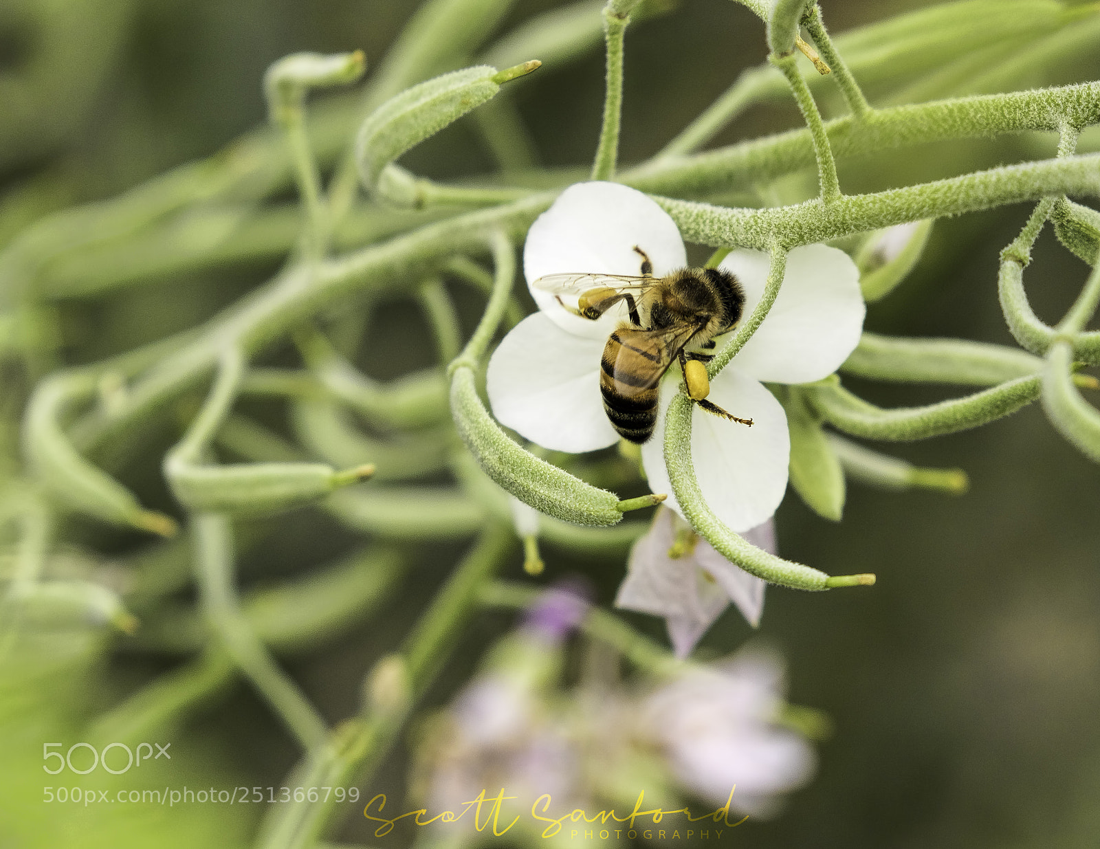Canon EOS 80D sample photo. Gathering photography