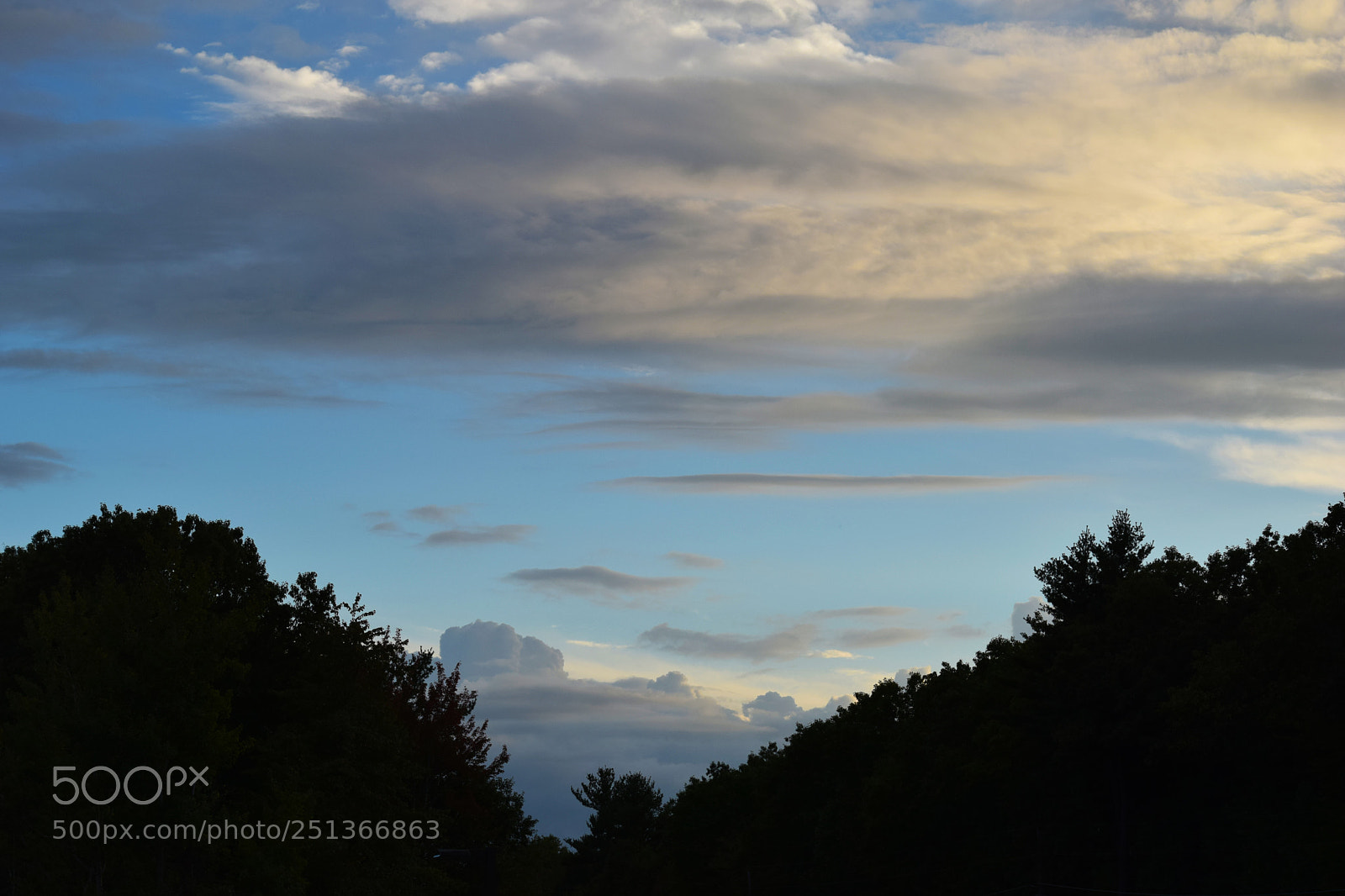 Nikon D3300 sample photo. Nh photography