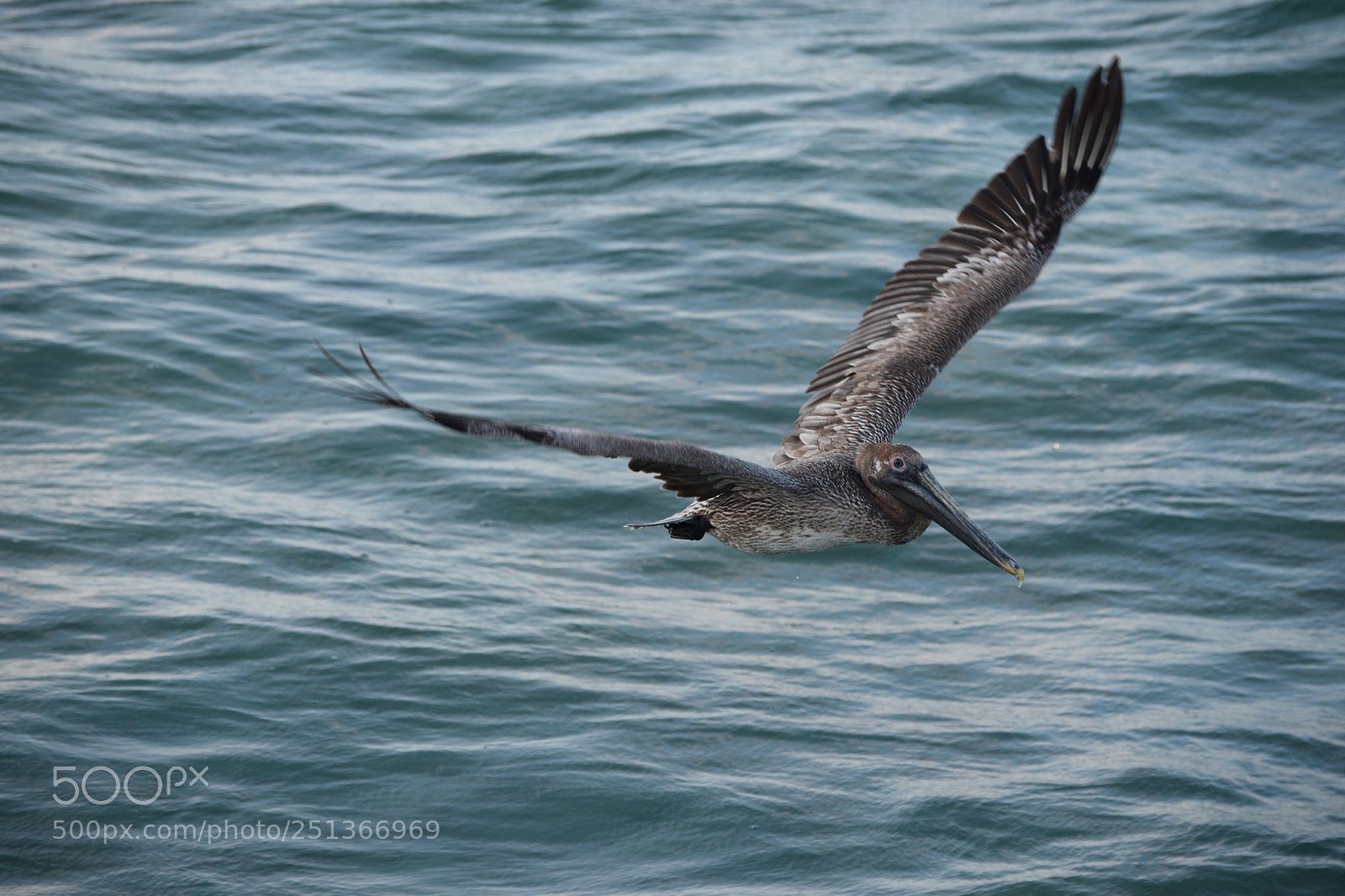Nikon D3300 sample photo. Spirit of freedom photography