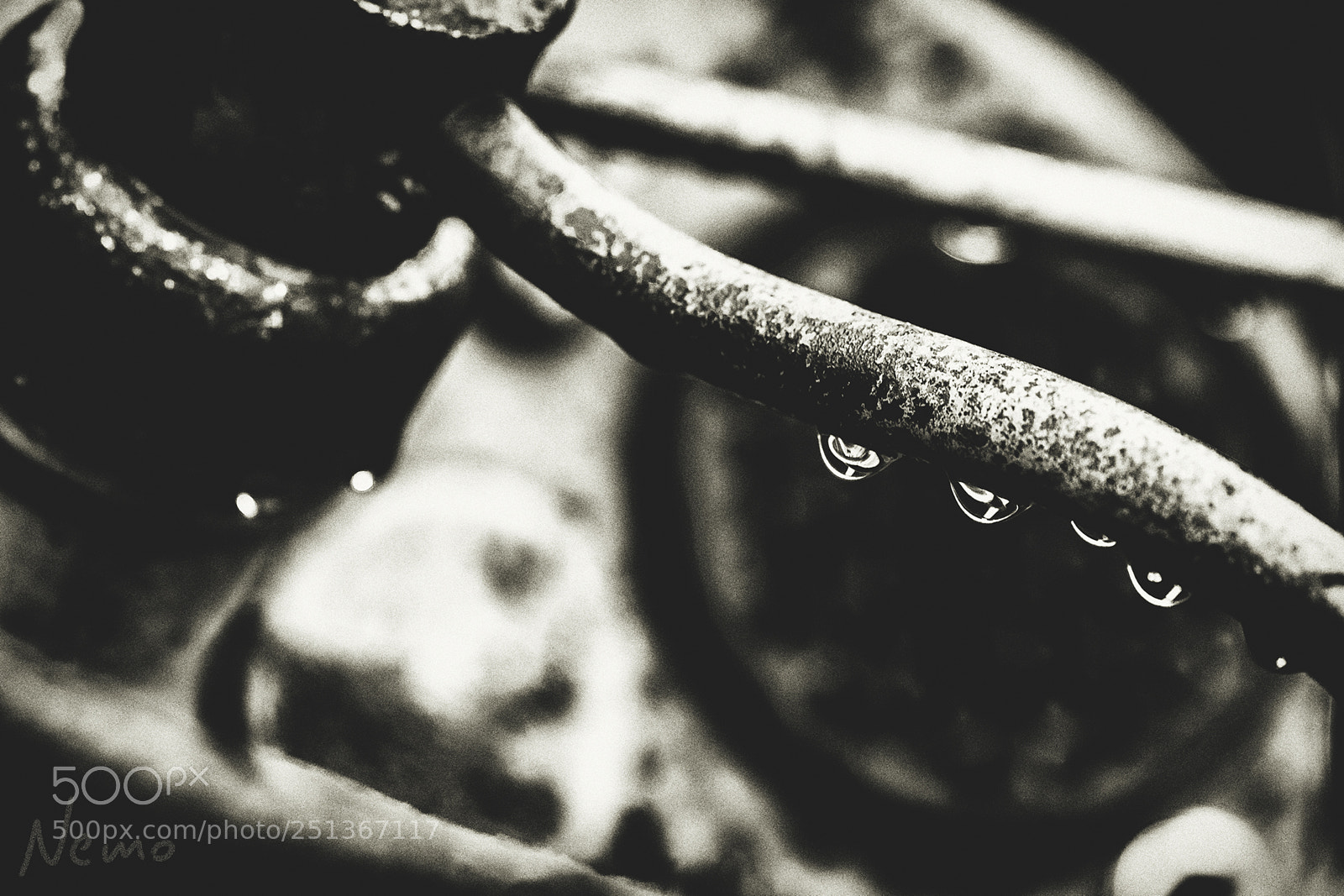 Nikon D5500 sample photo. *** photography