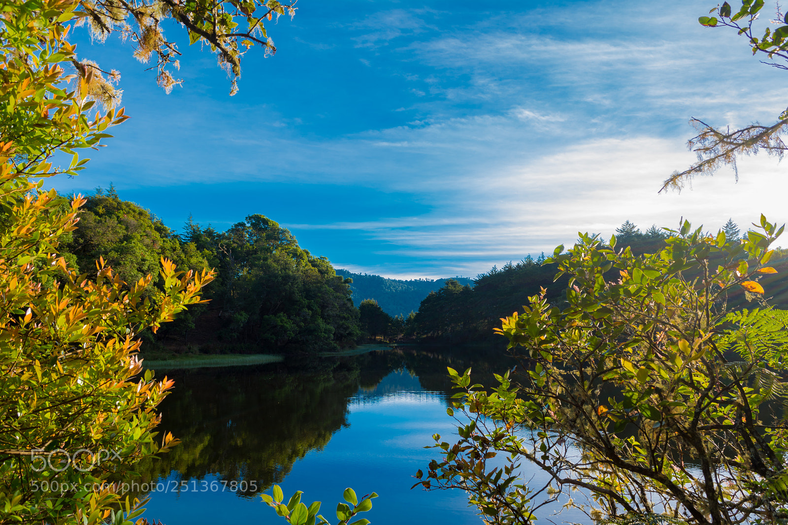 Nikon D5200 sample photo. Summer in lake photography