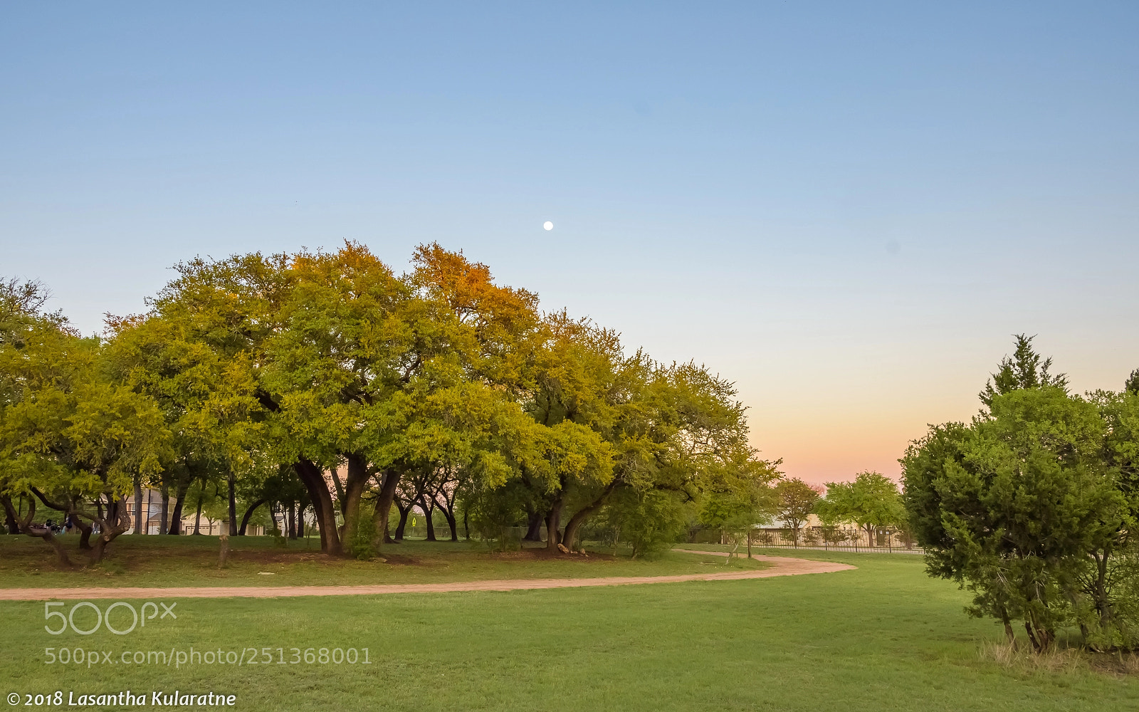 Nikon D7200 sample photo. Playground at rutledge elementary photography