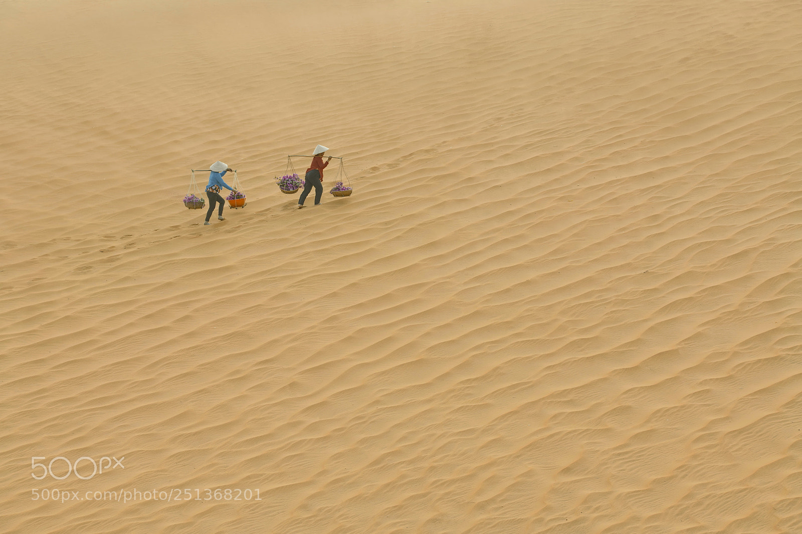 Nikon D850 sample photo. Sand photography