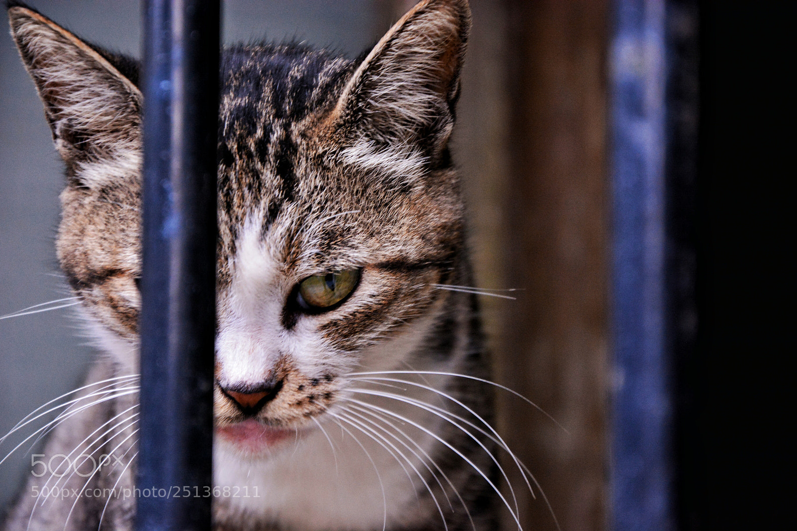 Nikon D7100 sample photo. ? photography