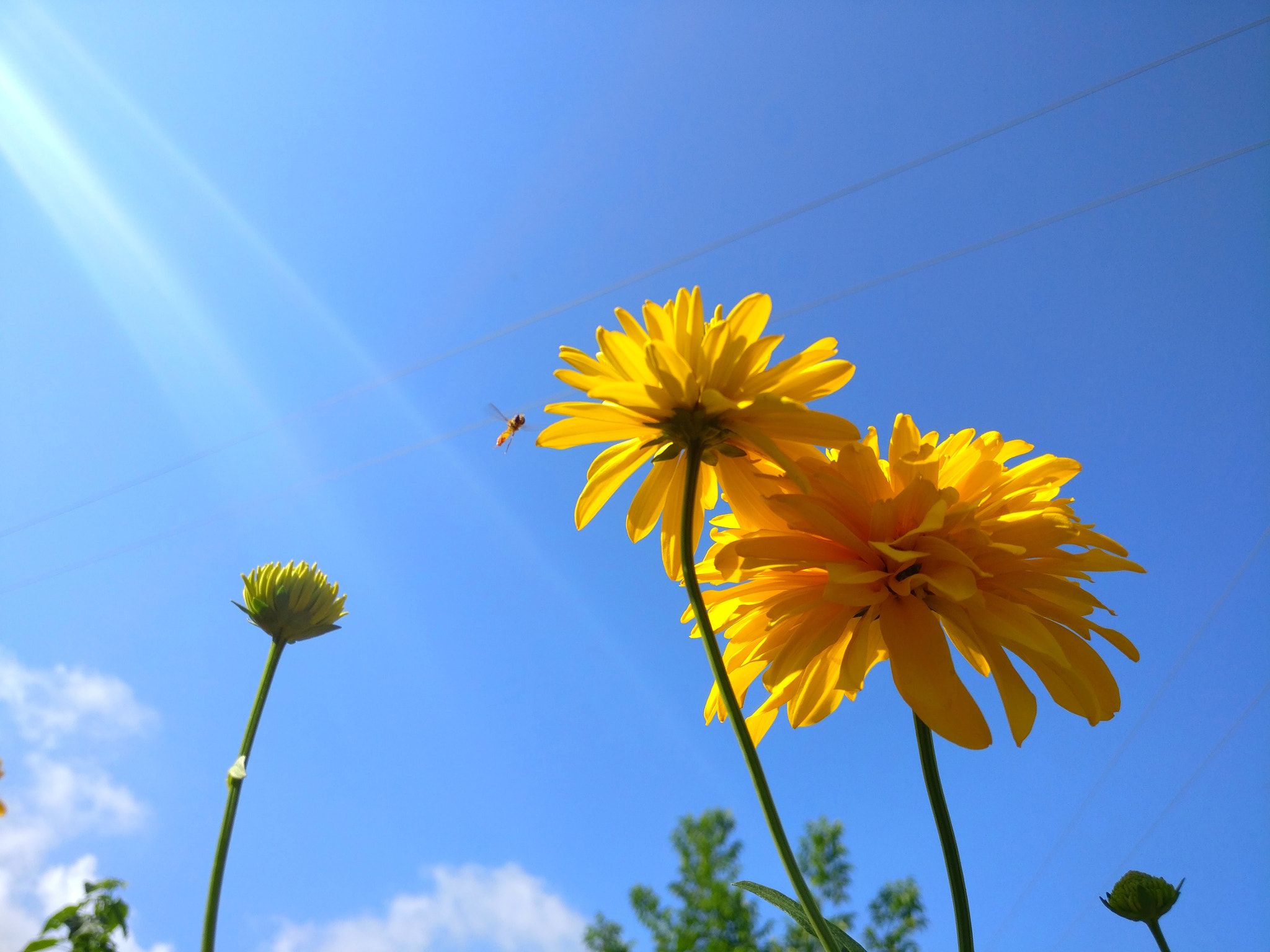 OnePlus A3010 sample photo