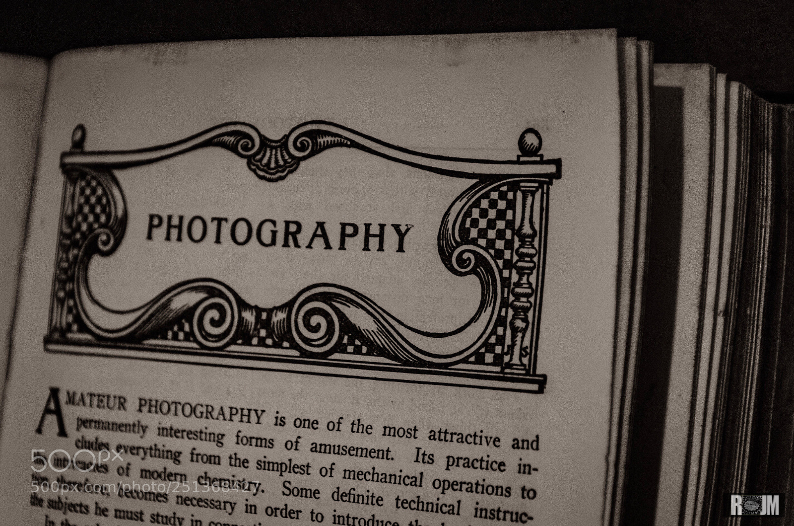 Nikon D7000 sample photo. Untitled photography