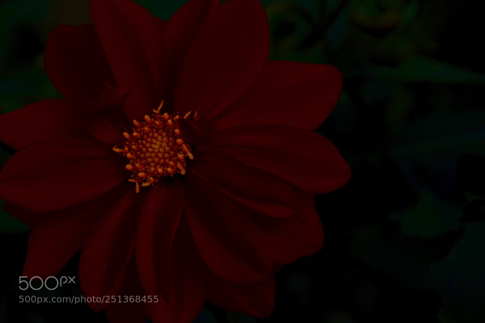 Canon EOS 7D Mark II sample photo. Light in the darkness  photography
