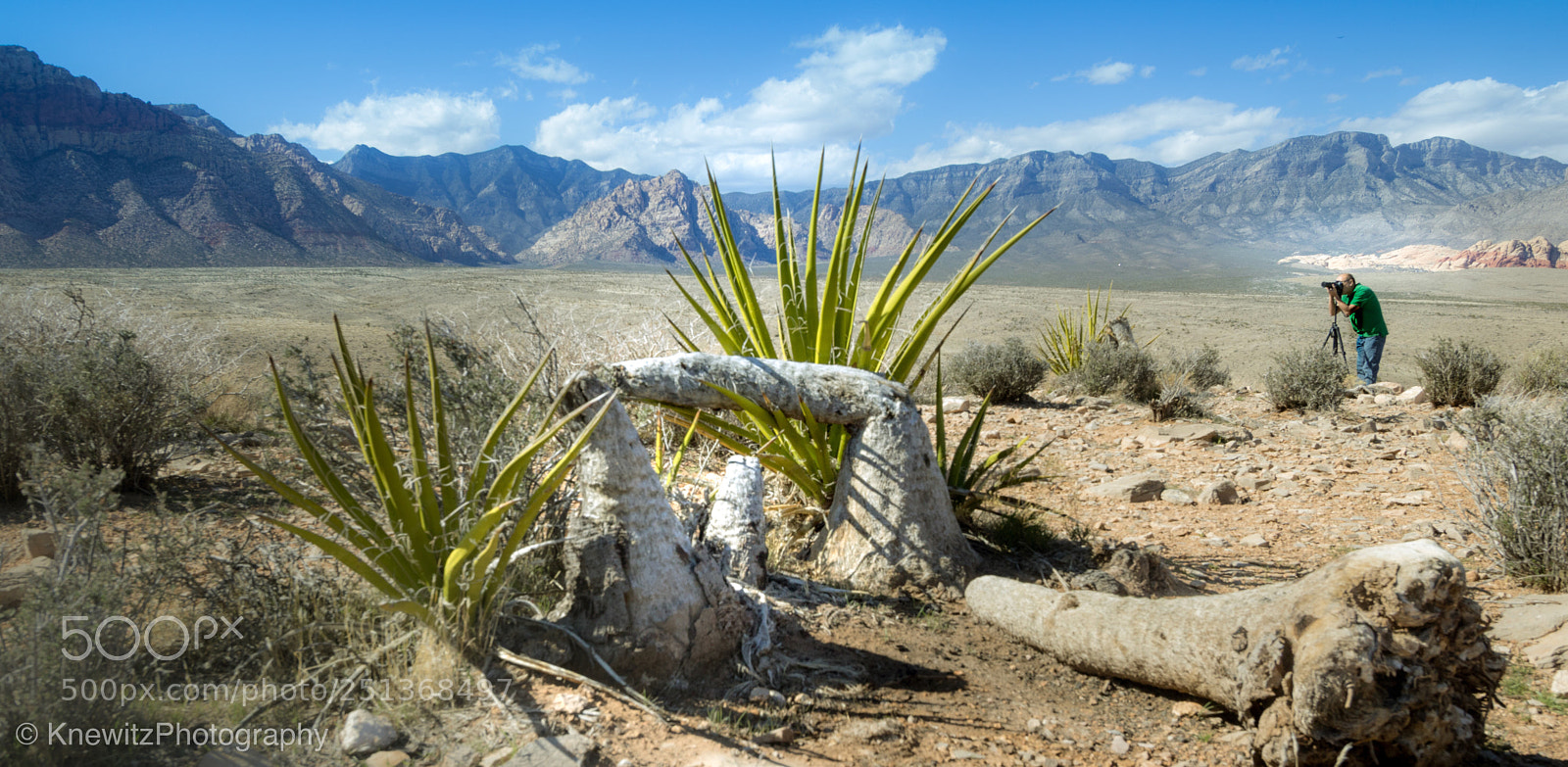 Canon EOS 760D (EOS Rebel T6s / EOS 8000D) sample photo. Red rock canyon  photography