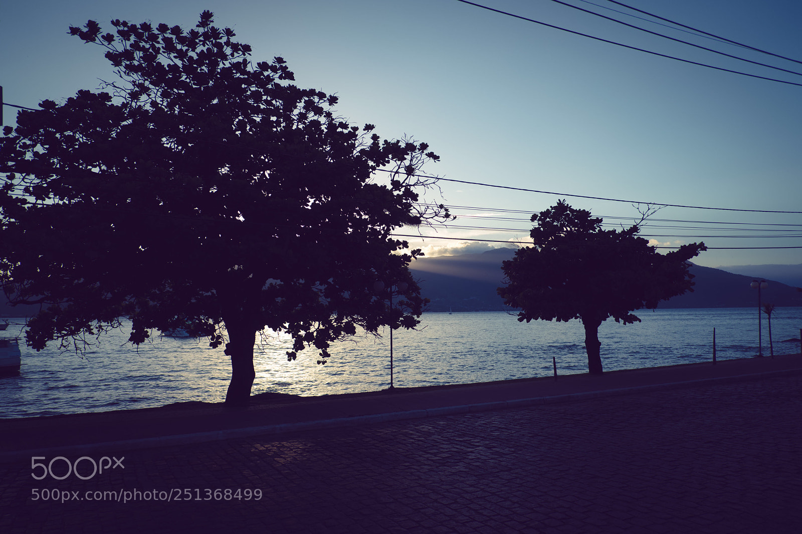 Fujifilm X-T2 sample photo. Untitled photography