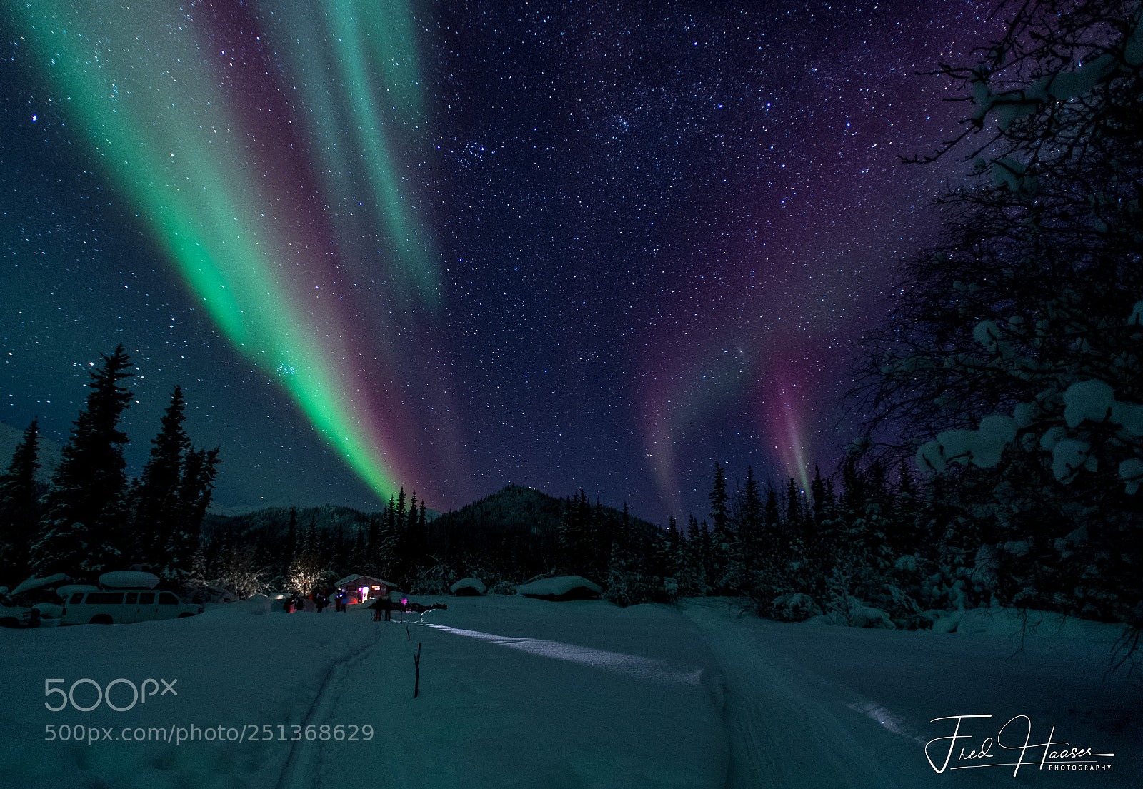 Nikon D5 sample photo. Aurora borealis in wiseman photography