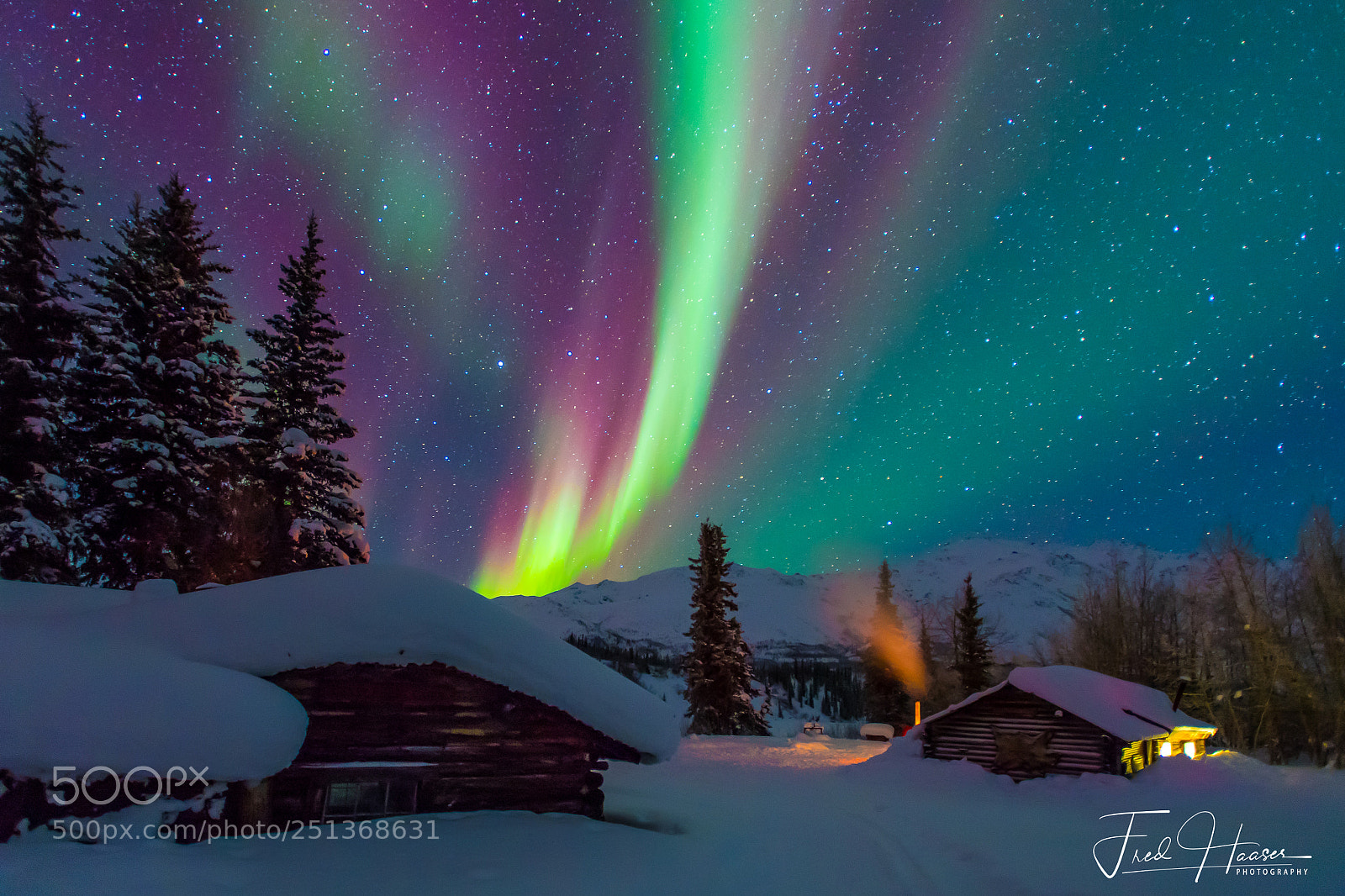 Nikon D5 sample photo. Aurora borealis in wiseman photography