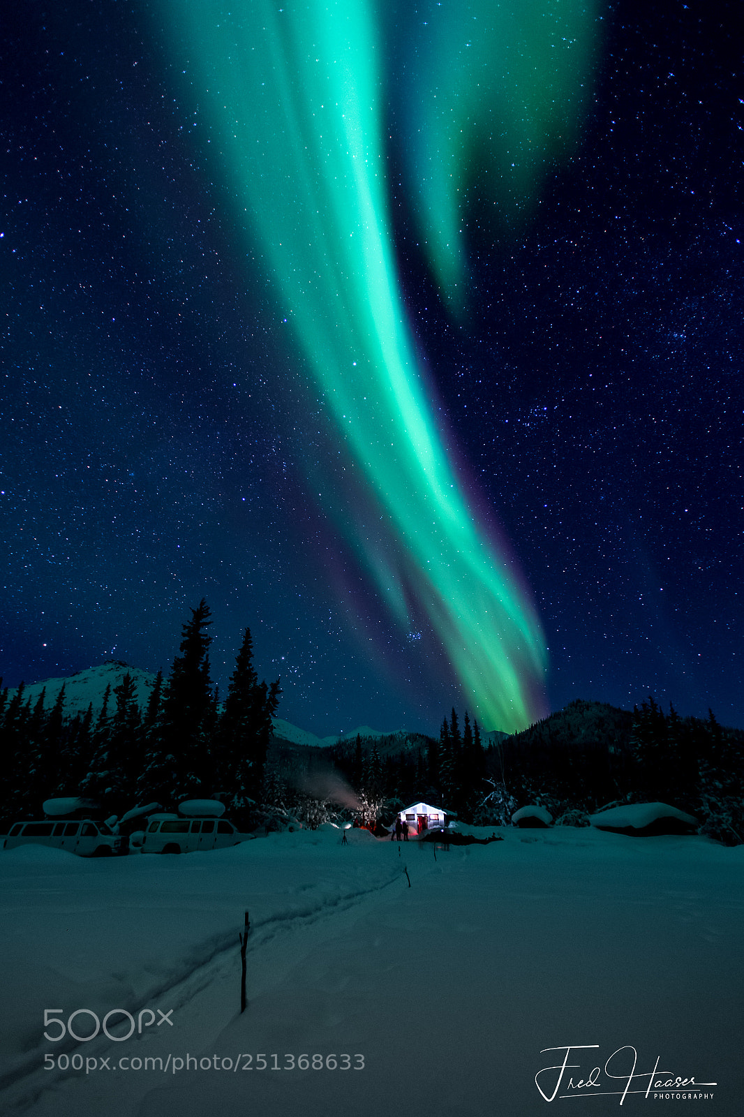 Nikon D5 sample photo. Aurora borealis in wiseman photography