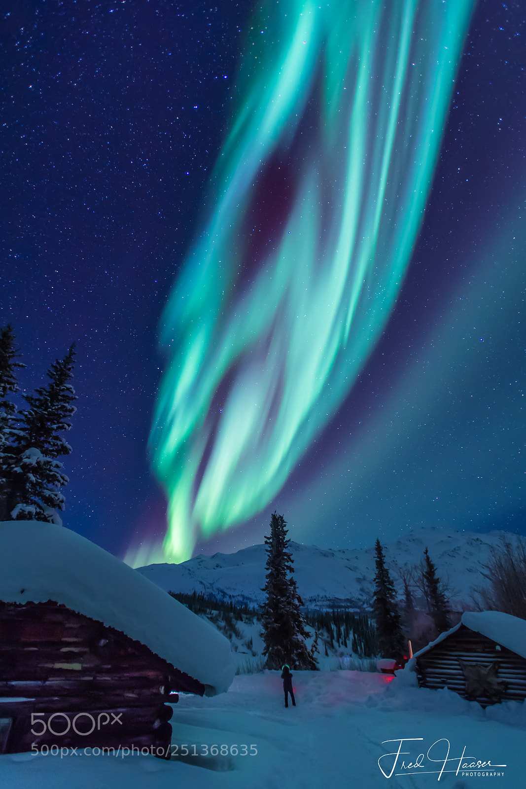 Nikon D5 sample photo. Aurora borealis in wiseman photography