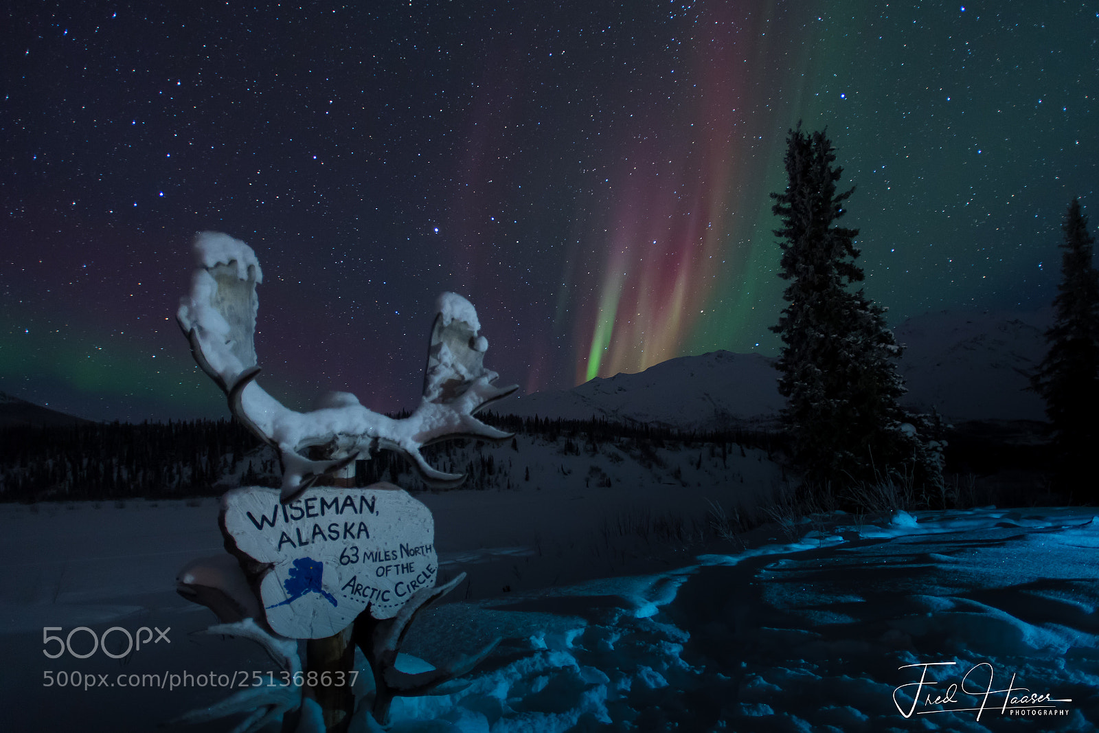 Nikon D5 sample photo. Aurora borealis in wiseman photography