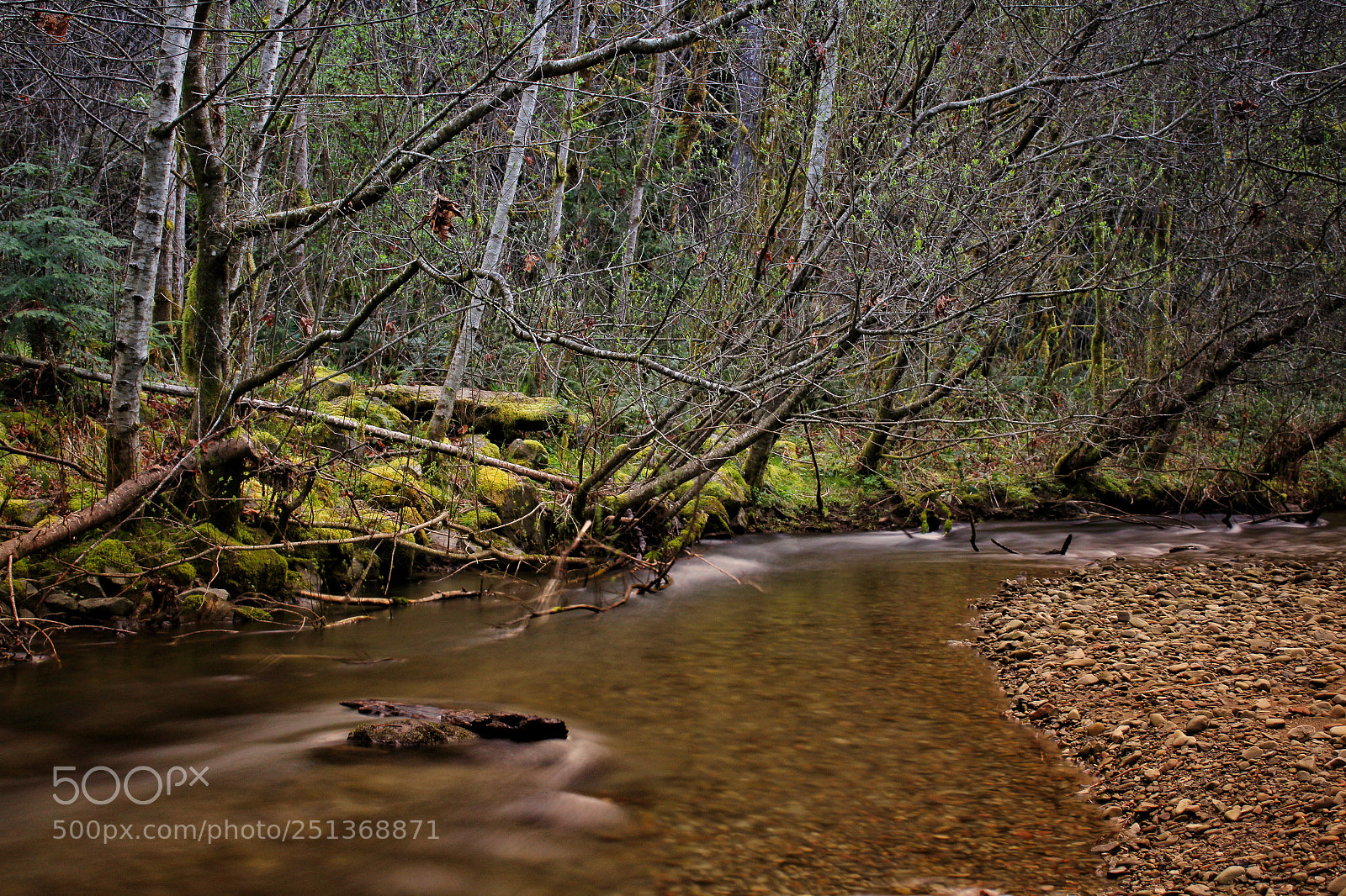 Canon EOS 1300D (EOS Rebel T6 / EOS Kiss X80) sample photo. Mill creek in the photography