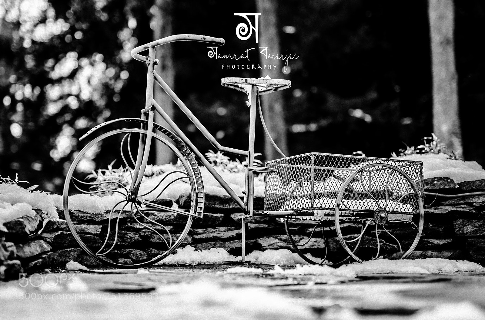 Nikon D850 sample photo. Tri-cycle photography