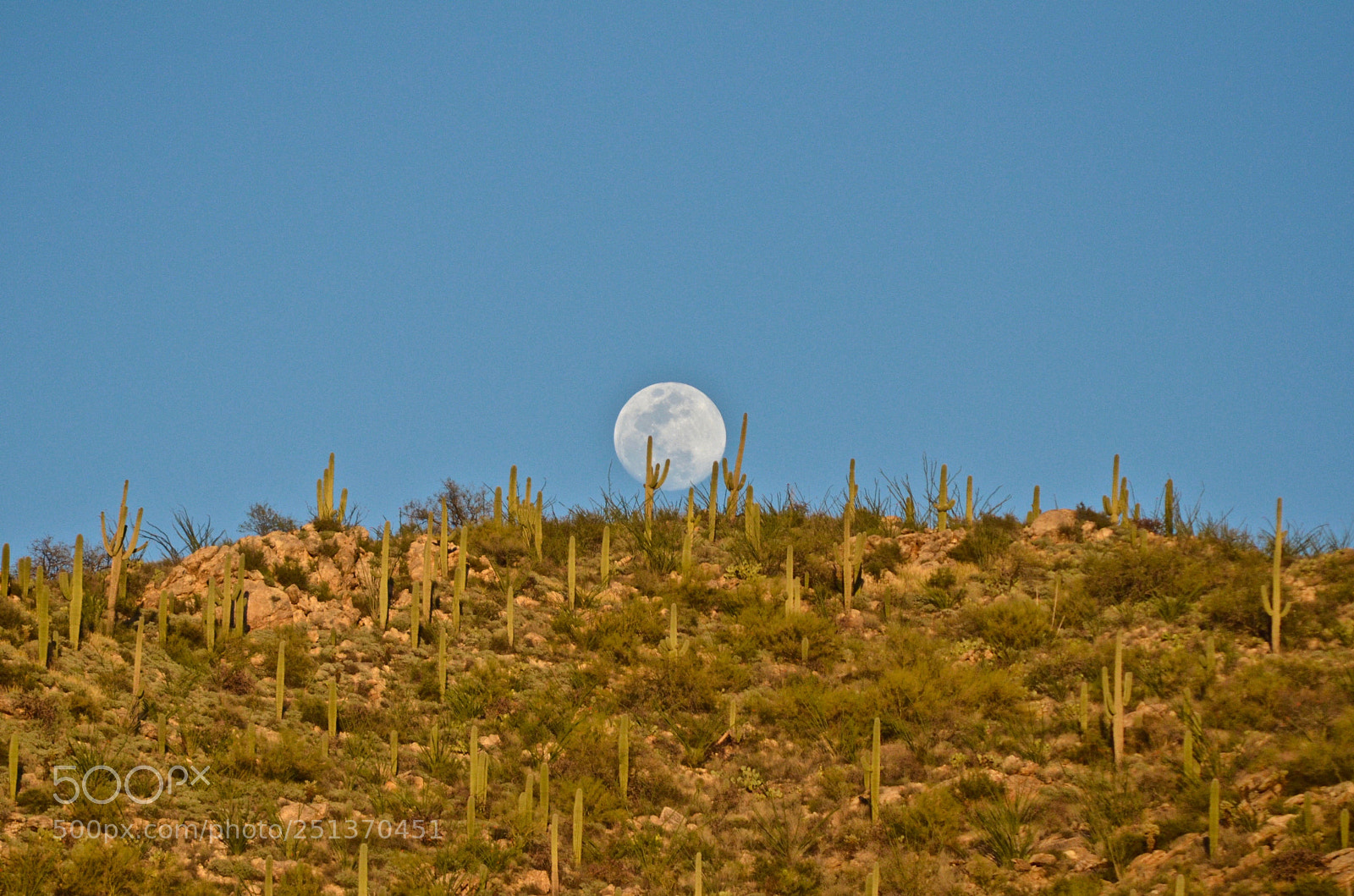 Nikon D7000 sample photo. Moon over tanque verde photography