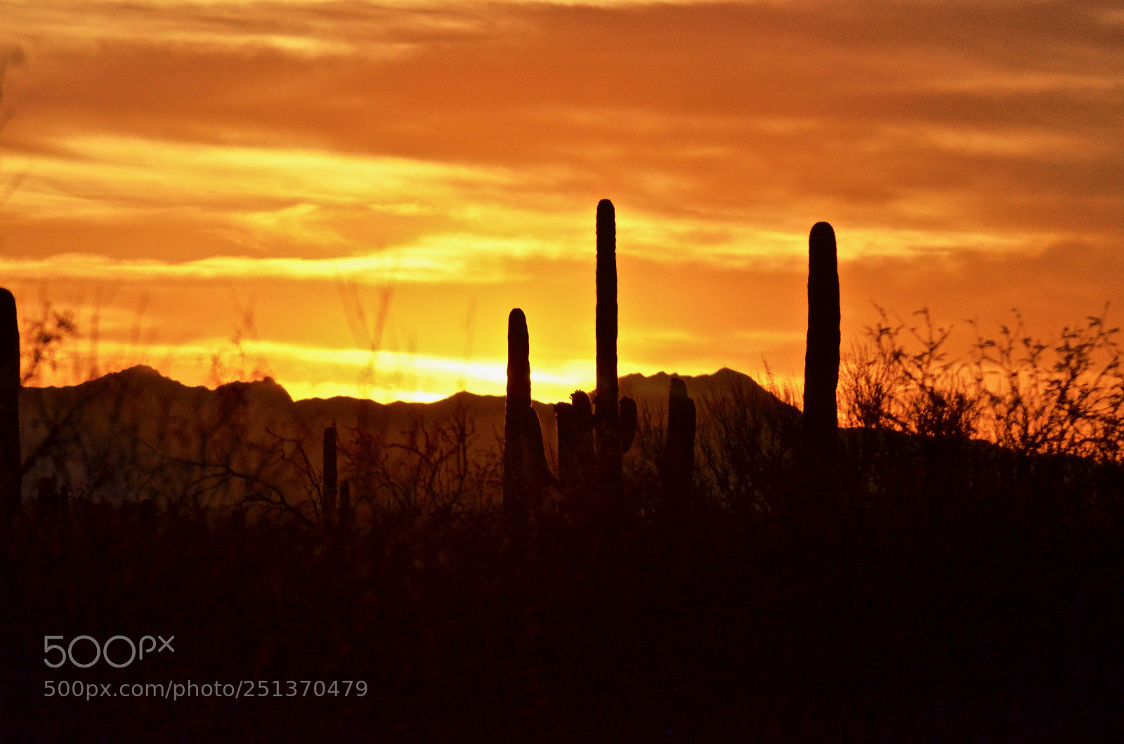 Nikon D7000 sample photo. Sunset over tucson photography