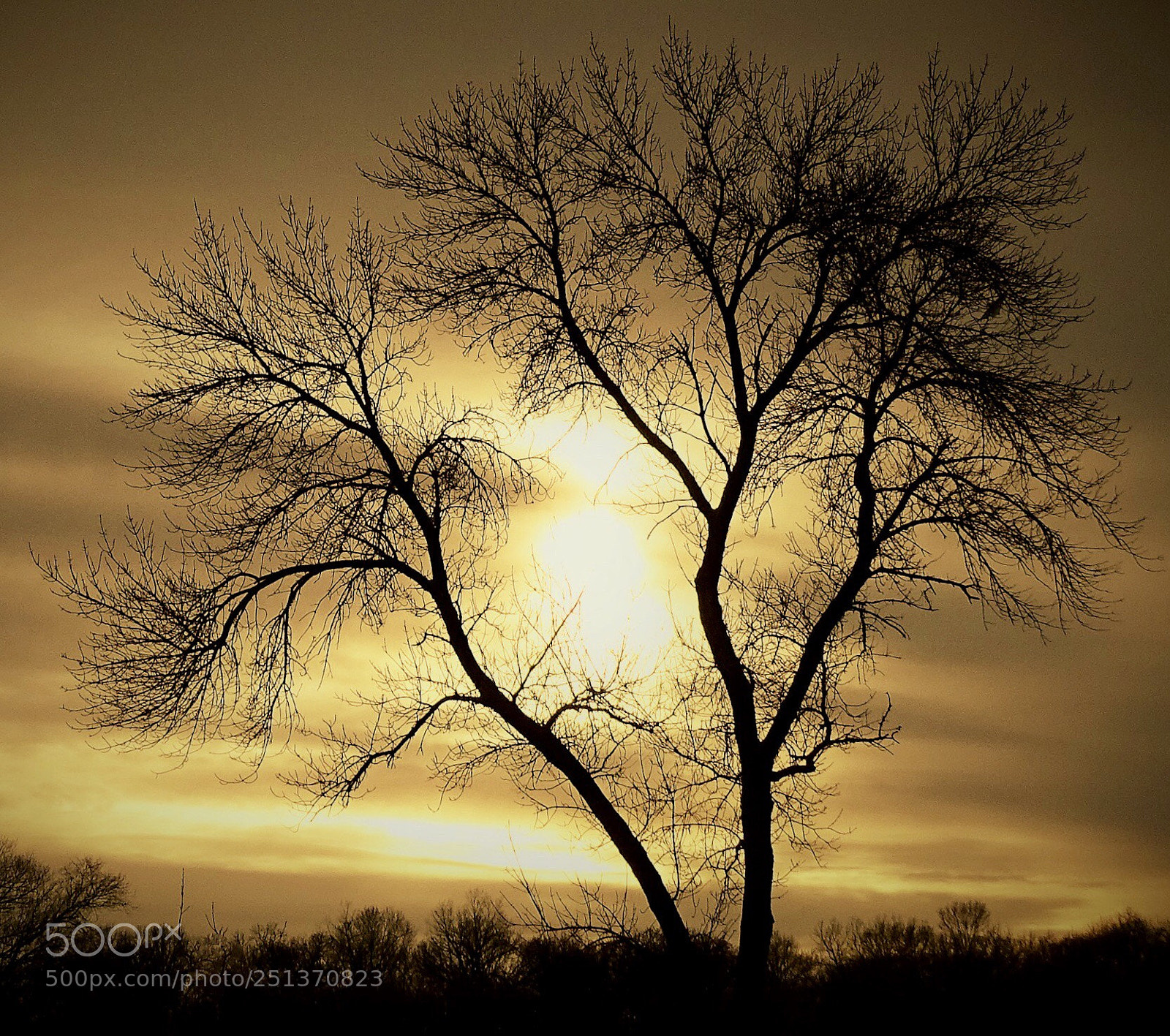 Sony Cyber-shot DSC-HX400V sample photo. Sunrise photography