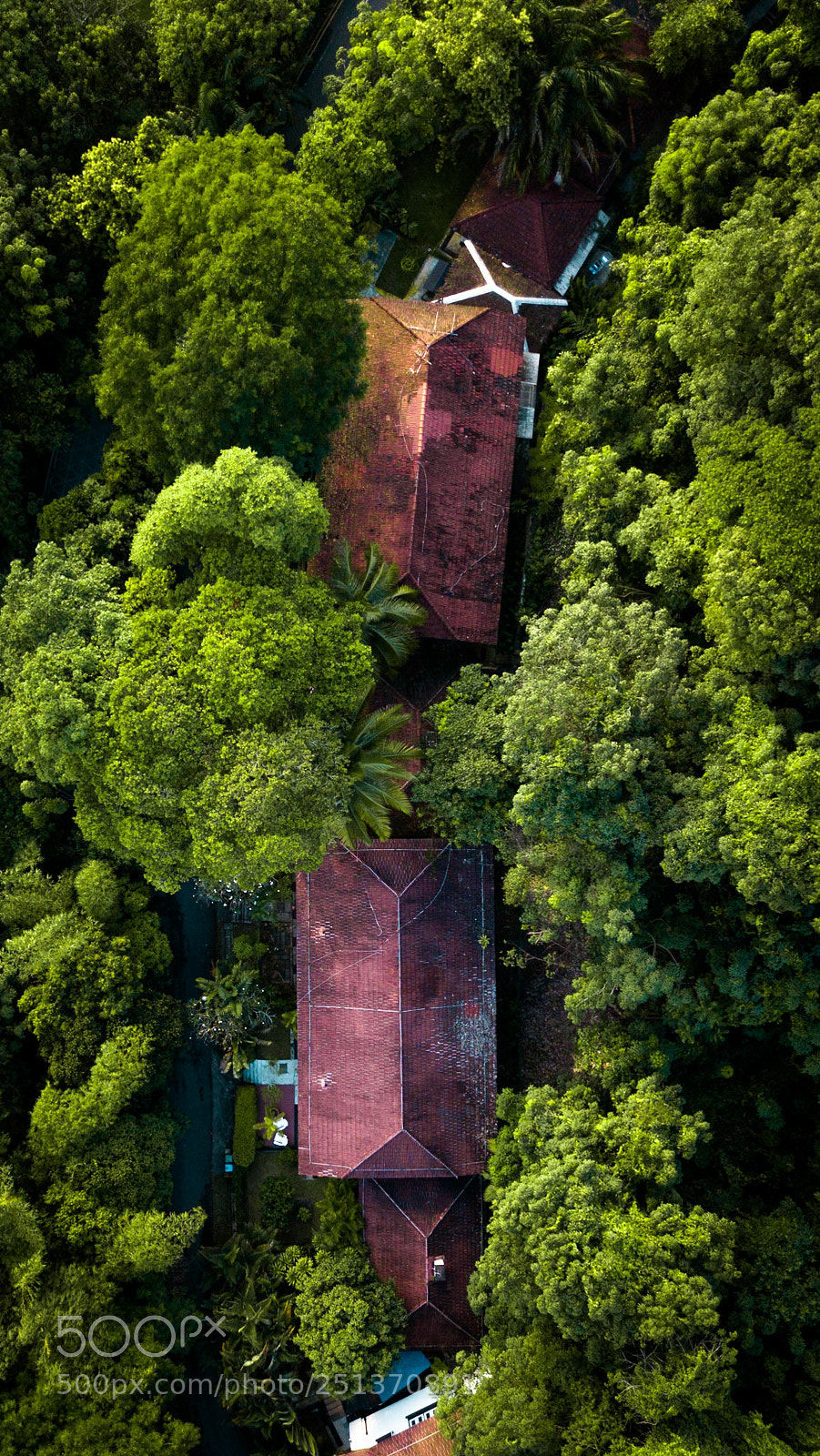 DJI FC220 sample photo. In the wild. photography