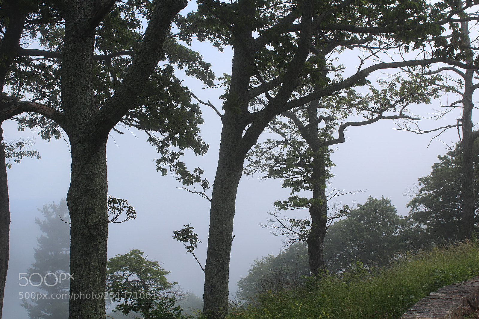 Canon EOS 1200D (EOS Rebel T5 / EOS Kiss X70 / EOS Hi) sample photo. Smokey mountains photography
