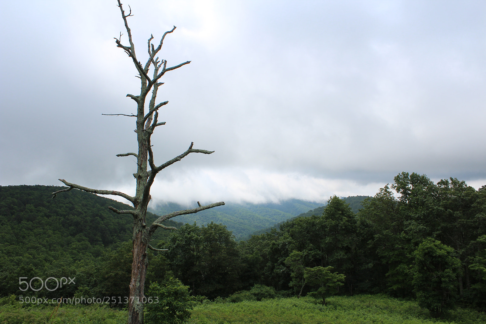 Canon EOS 1200D (EOS Rebel T5 / EOS Kiss X70 / EOS Hi) sample photo. Smokey mountains photography