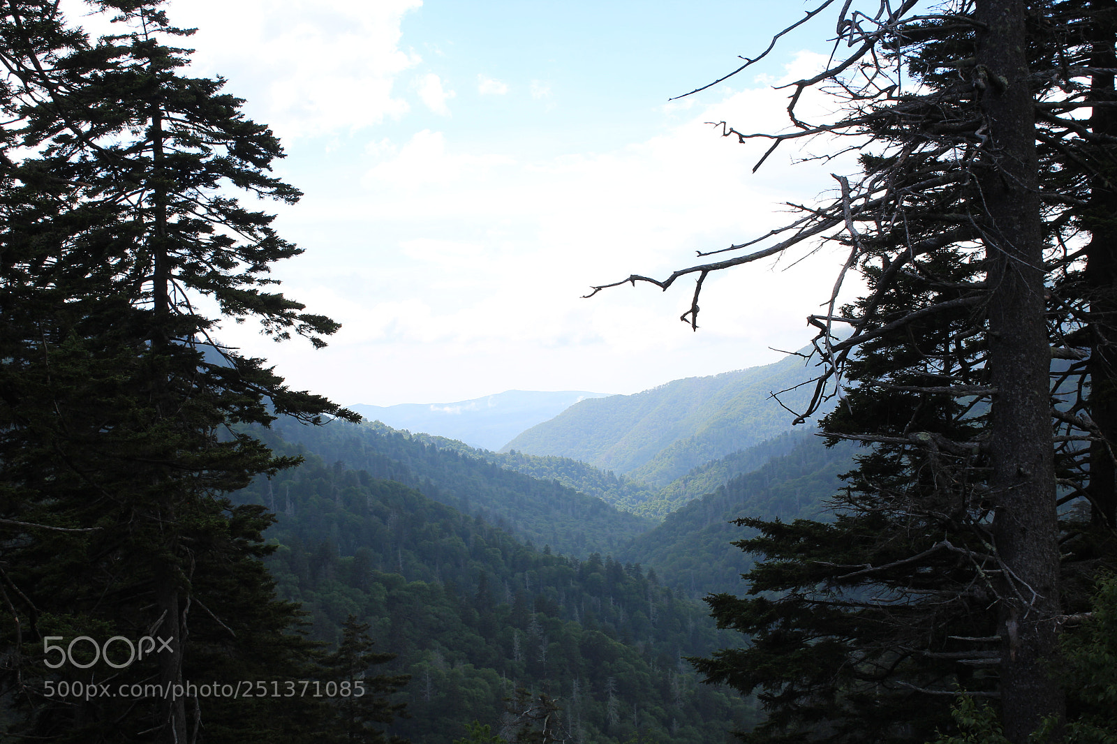 Canon EOS 1200D (EOS Rebel T5 / EOS Kiss X70 / EOS Hi) sample photo. Smokey mountains photography