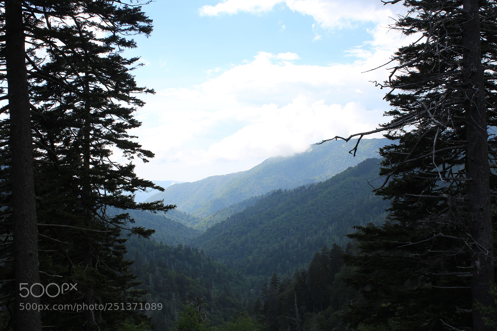 Canon EOS 1200D (EOS Rebel T5 / EOS Kiss X70 / EOS Hi) sample photo. Smokey mountains photography