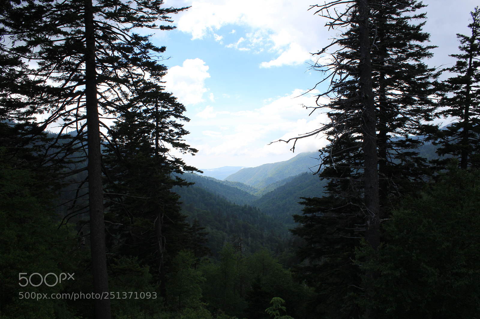 Canon EOS 1200D (EOS Rebel T5 / EOS Kiss X70 / EOS Hi) sample photo. Smokey mountains photography