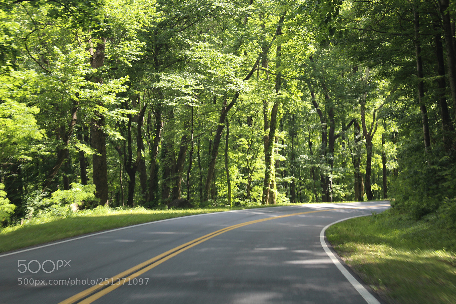 Canon EOS 1200D (EOS Rebel T5 / EOS Kiss X70 / EOS Hi) sample photo. Smokey mountains photography