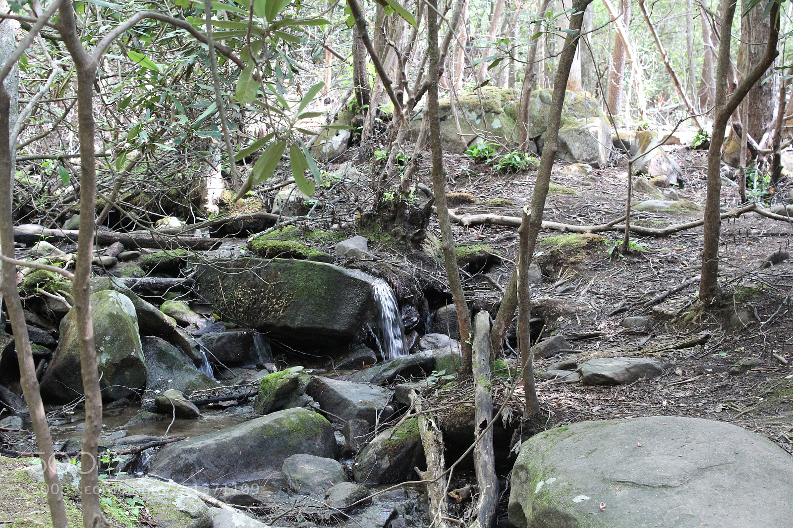 Canon EOS 1200D (EOS Rebel T5 / EOS Kiss X70 / EOS Hi) sample photo. Smokey mountains photography
