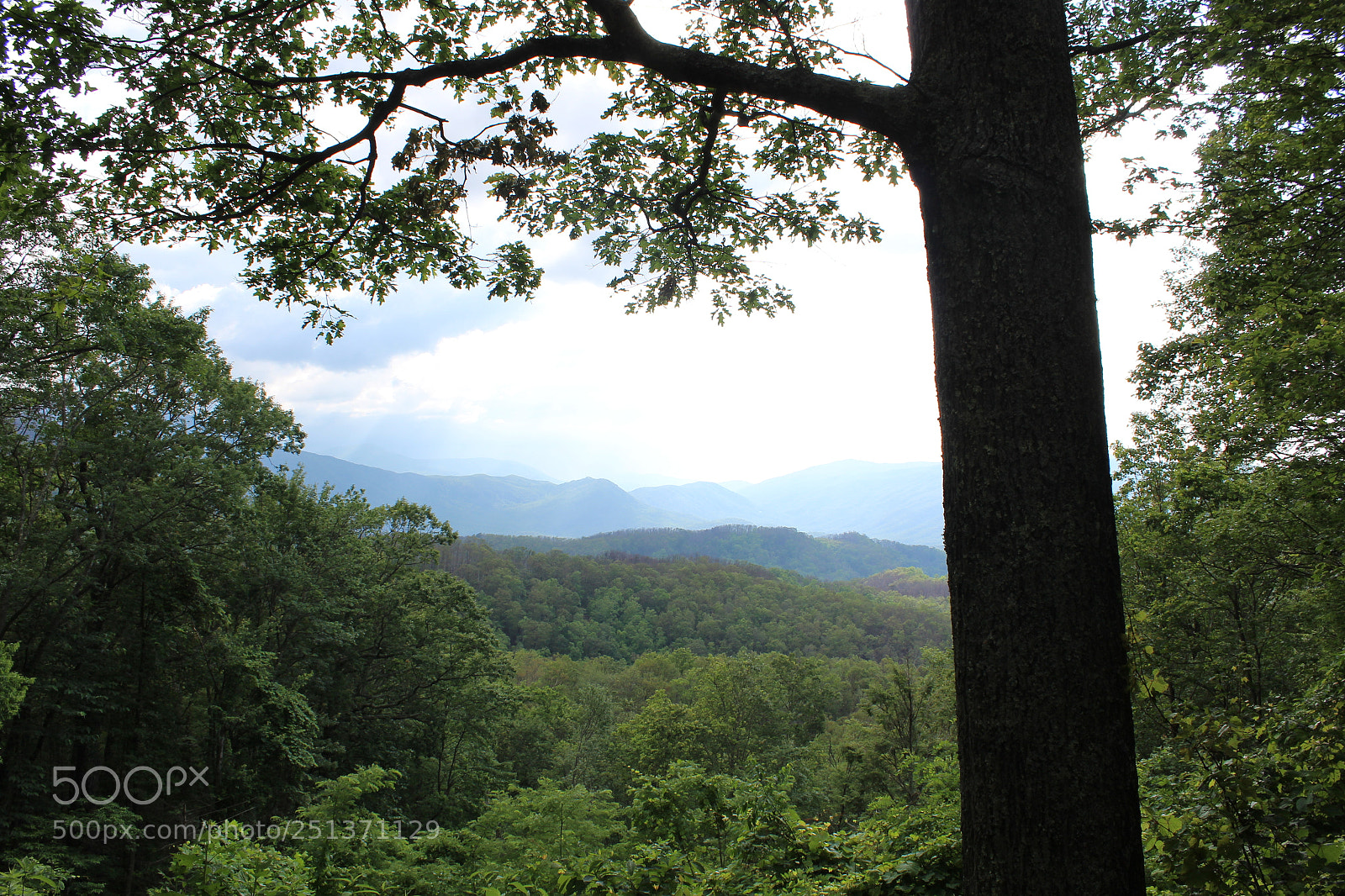 Canon EOS 1200D (EOS Rebel T5 / EOS Kiss X70 / EOS Hi) sample photo. Smokey mountains photography