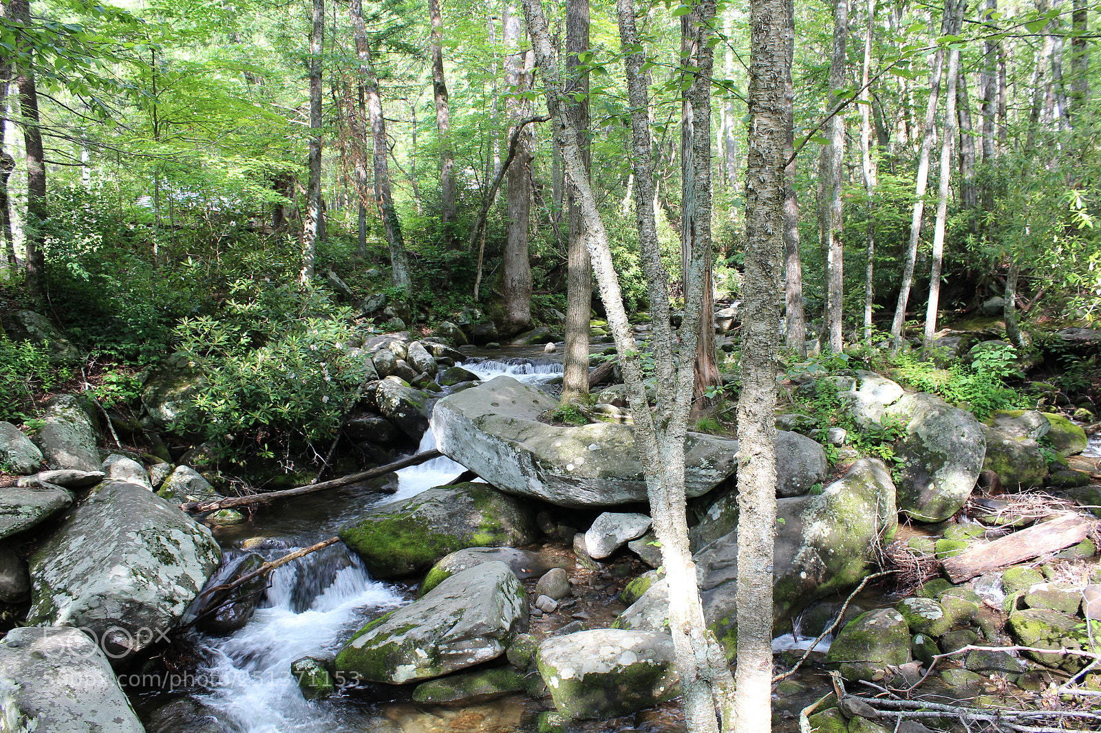 Canon EOS 1200D (EOS Rebel T5 / EOS Kiss X70 / EOS Hi) sample photo. Smokey mountains photography