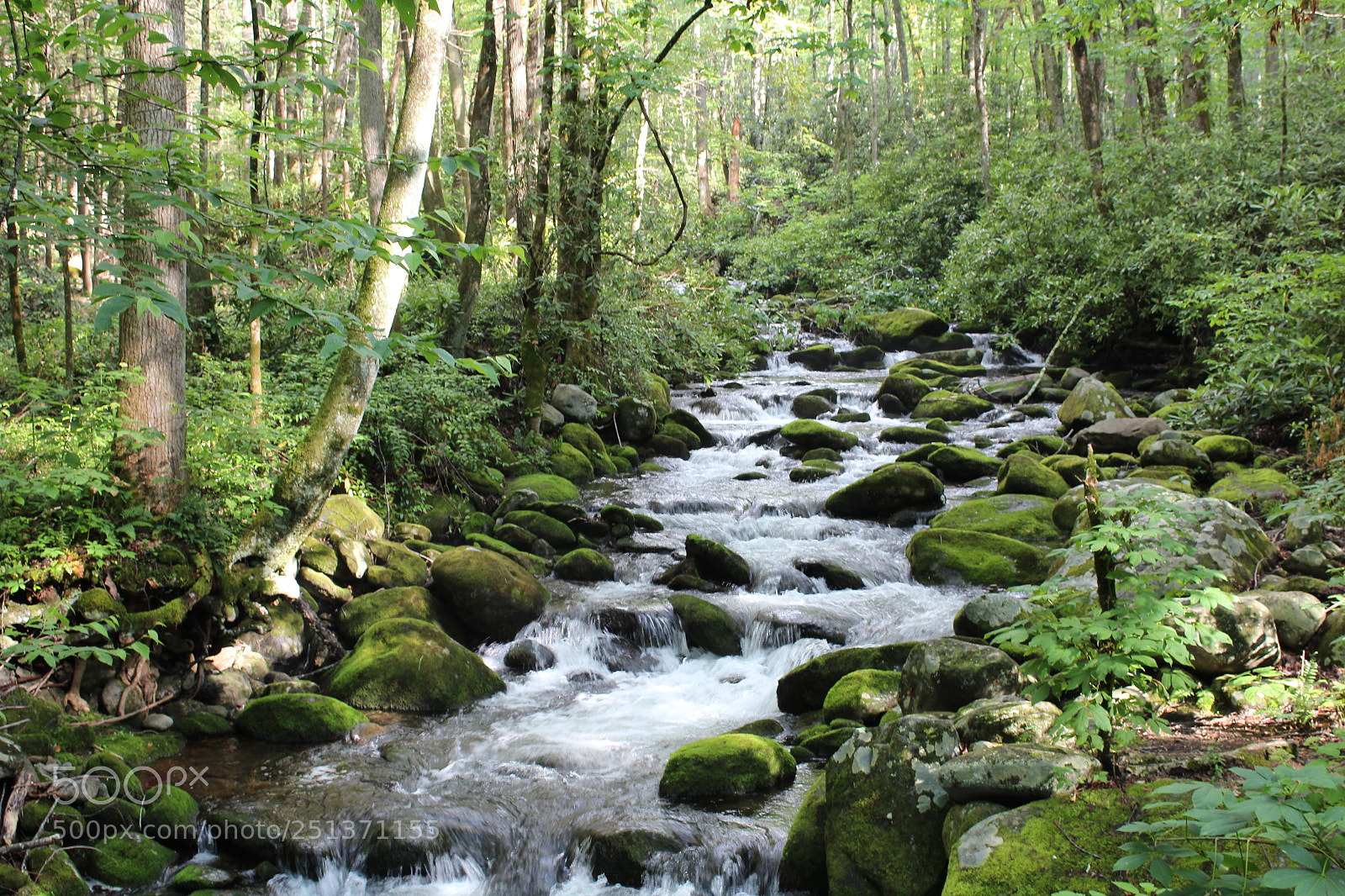 Canon EOS 1200D (EOS Rebel T5 / EOS Kiss X70 / EOS Hi) sample photo. Smokey mountains photography