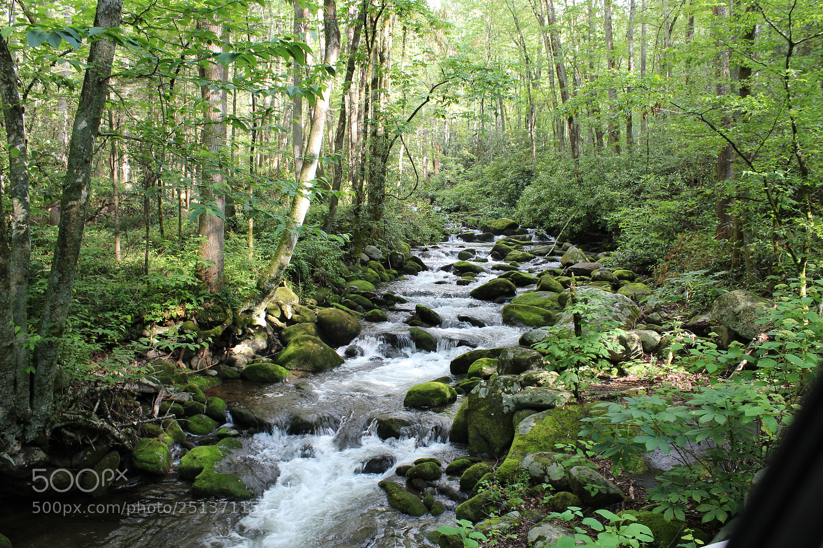 Canon EOS 1200D (EOS Rebel T5 / EOS Kiss X70 / EOS Hi) sample photo. Smokey mountains photography