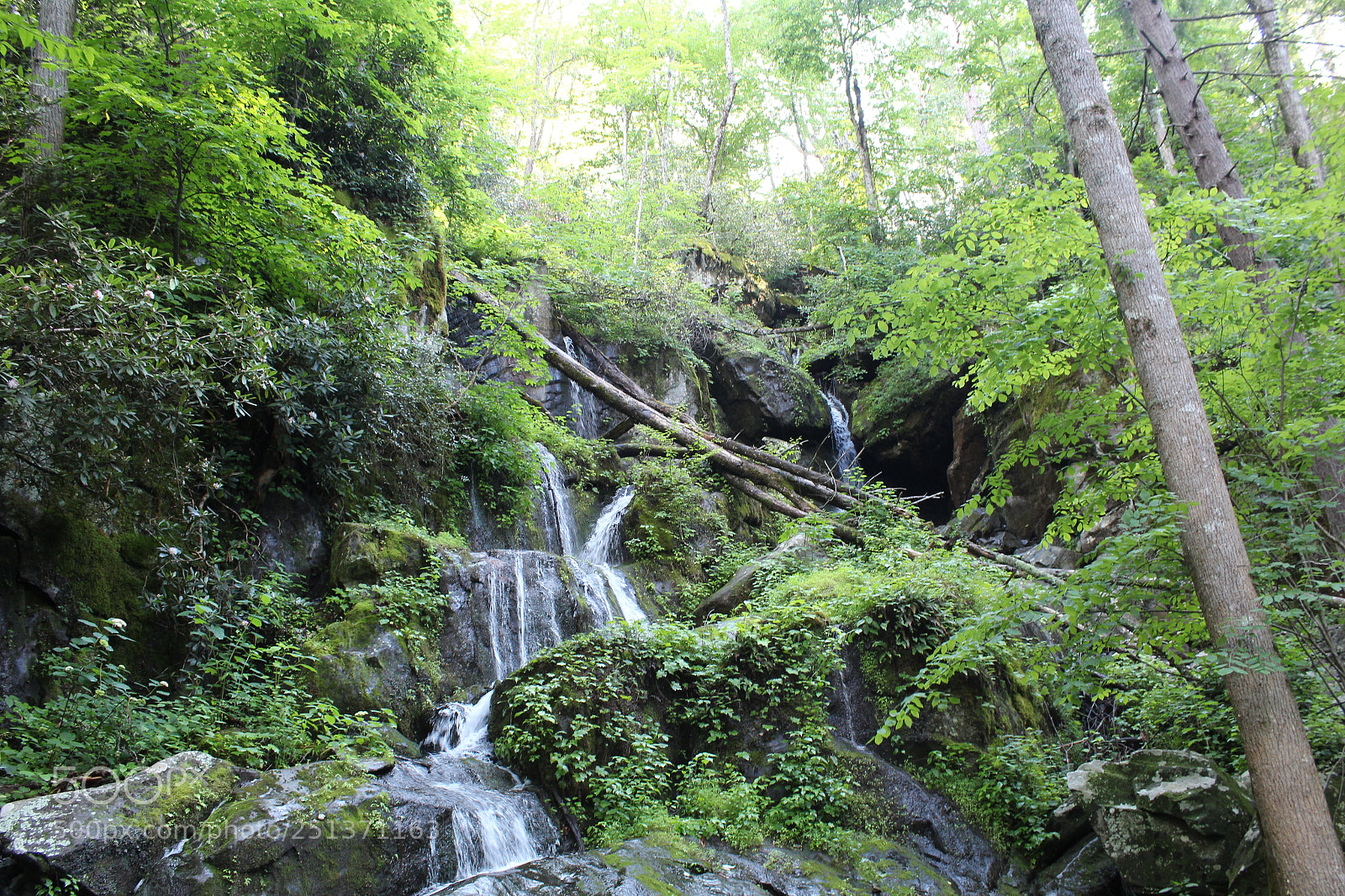 Canon EOS 1200D (EOS Rebel T5 / EOS Kiss X70 / EOS Hi) sample photo. Smokey mountains photography