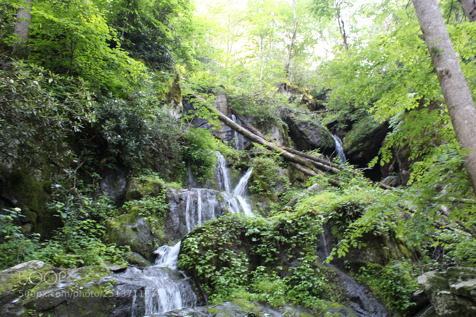 Canon EOS 1200D (EOS Rebel T5 / EOS Kiss X70 / EOS Hi) sample photo. Smokey mountains photography