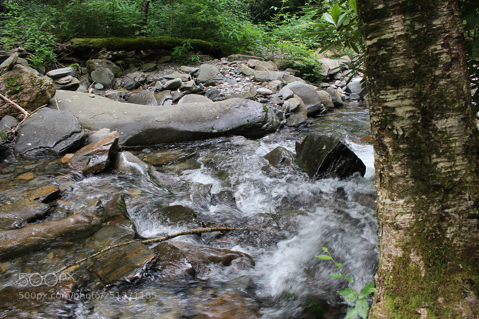 Canon EOS 1200D (EOS Rebel T5 / EOS Kiss X70 / EOS Hi) sample photo. Smokey mountains photography