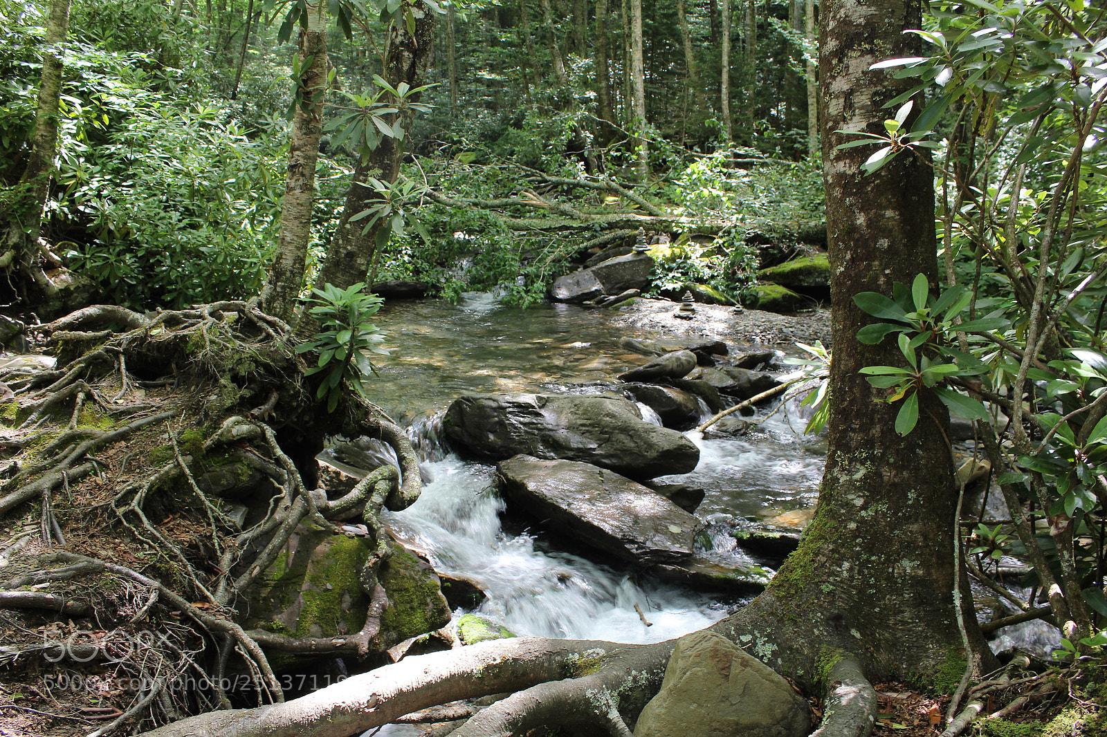 Canon EOS 1200D (EOS Rebel T5 / EOS Kiss X70 / EOS Hi) sample photo. Smokey mountains photography